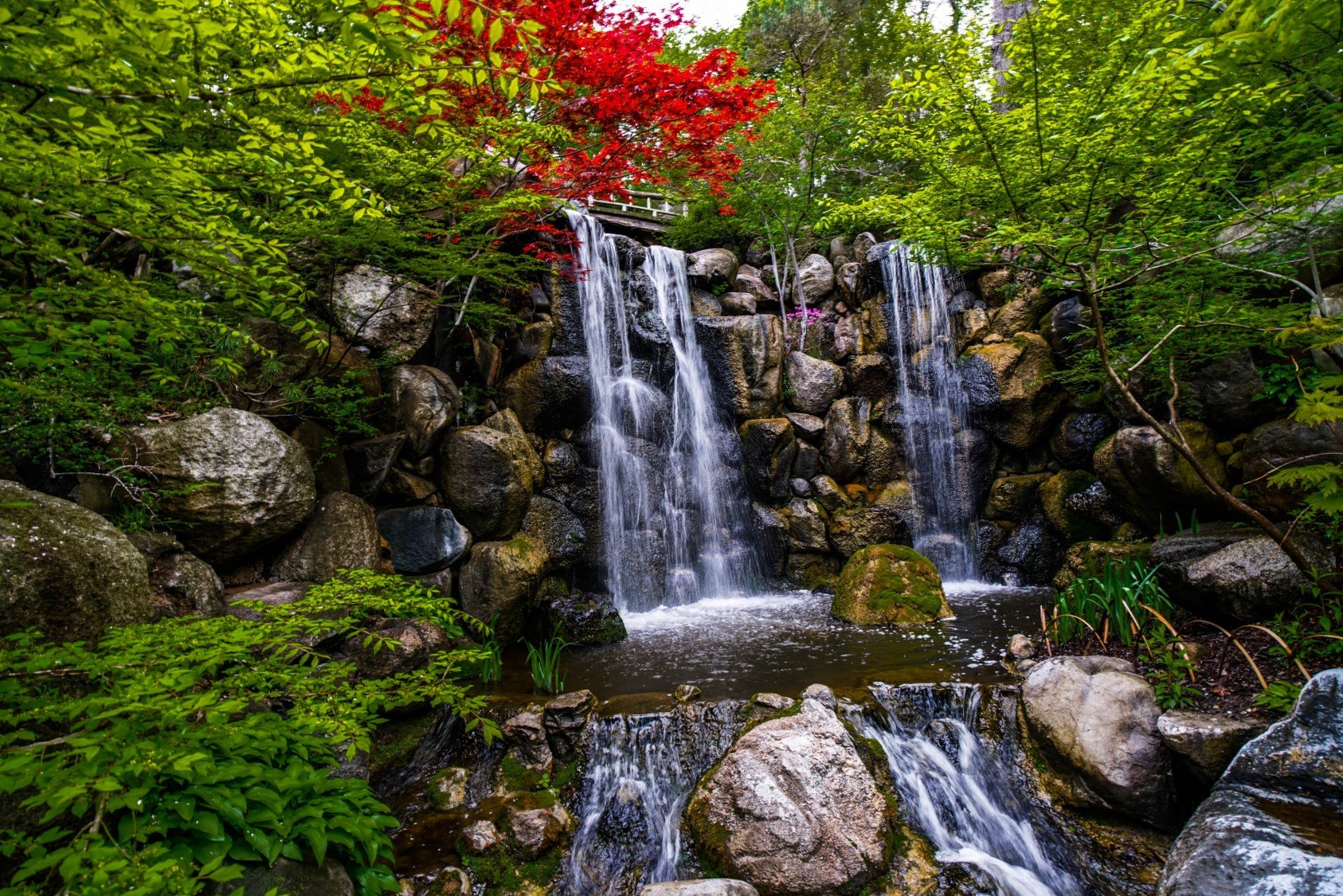 japanese waterfall.jpg
