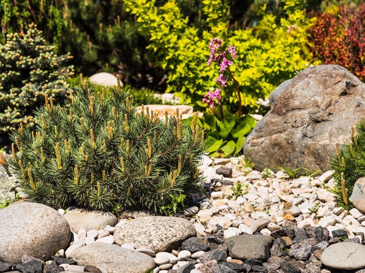 beach-cobbles-40-90-mm-context.jpg