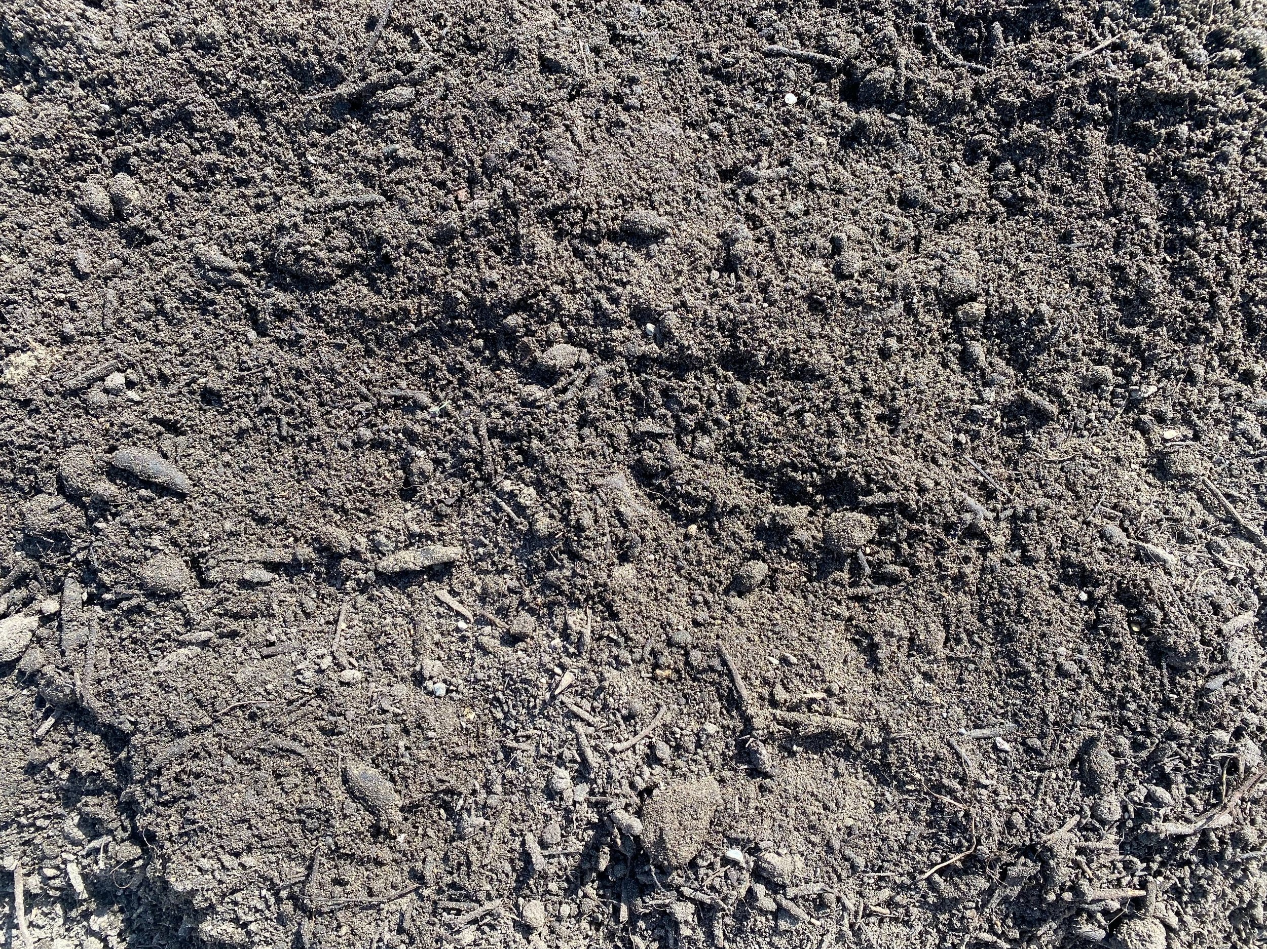 top-soil+%282%29.jpg