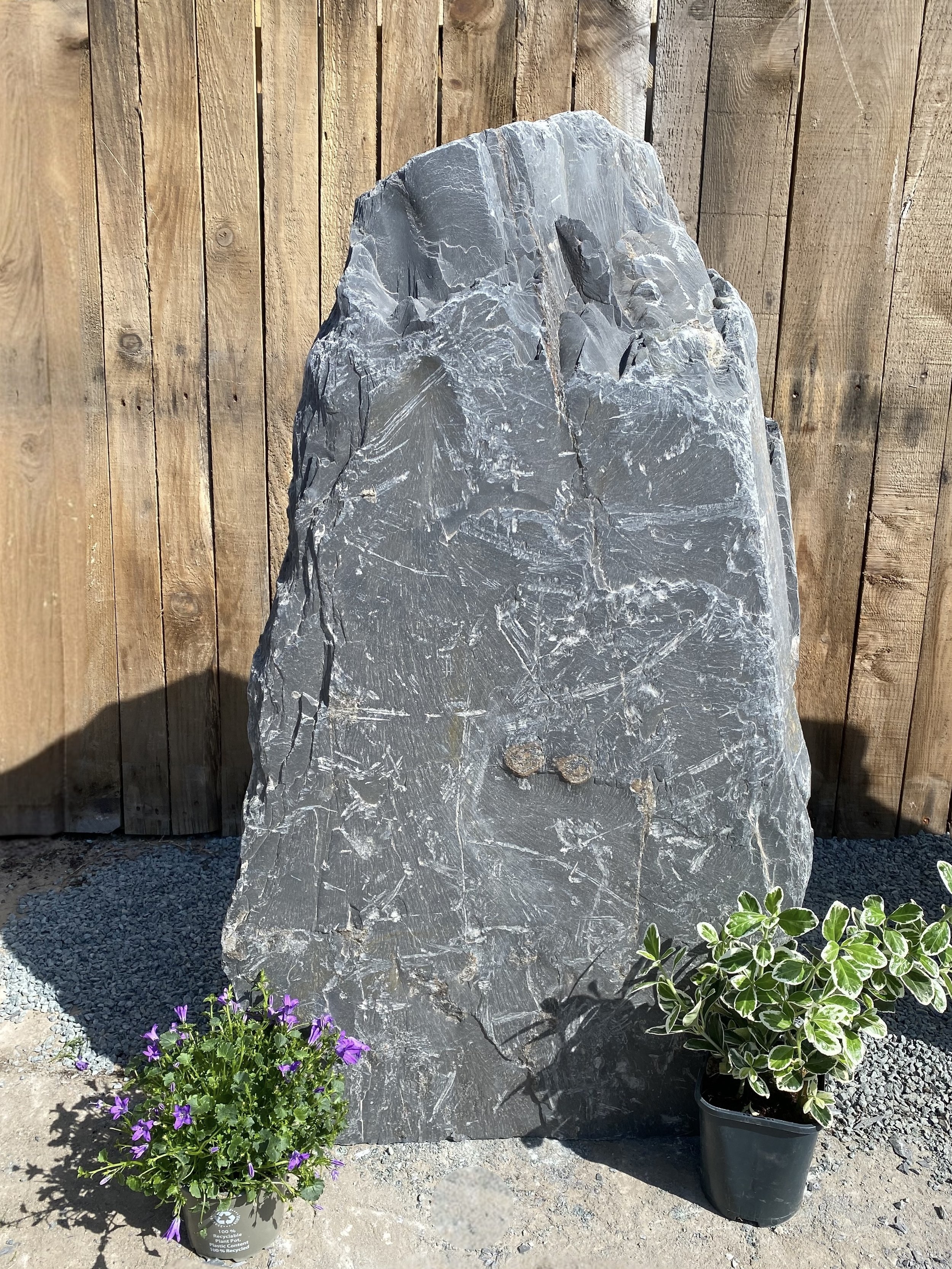 Photoroom_20250411_173010.jpeg