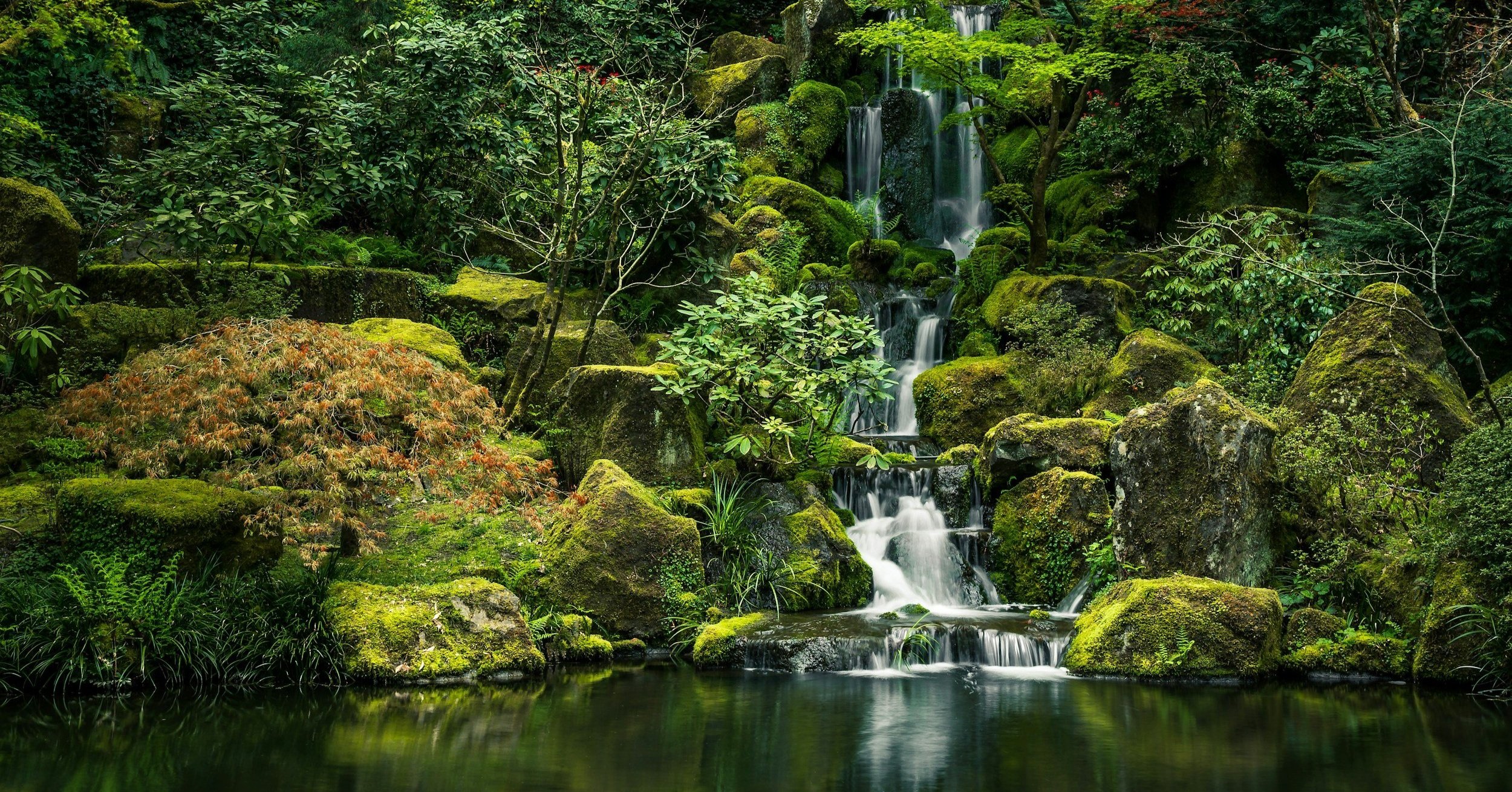 Japanese Garden With Large Boulders Creating A Waterfall With Surrounding Plants And Trees