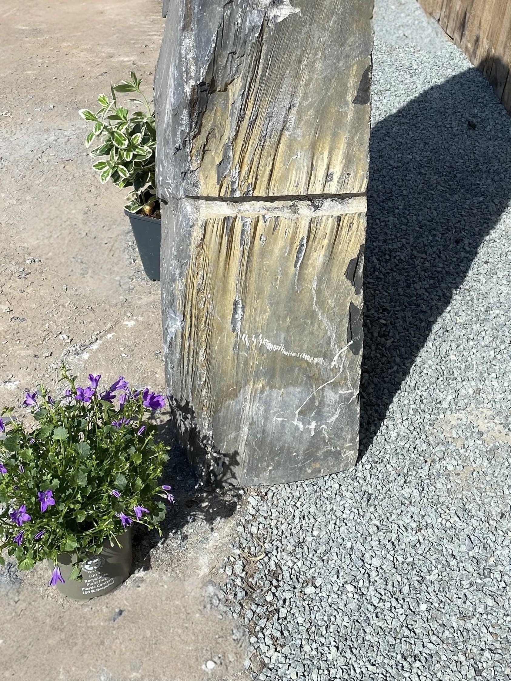Photoroom_20250411_172510.jpeg