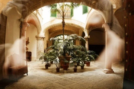 Courtyard Garden With Arch And Large Plants In The Centre