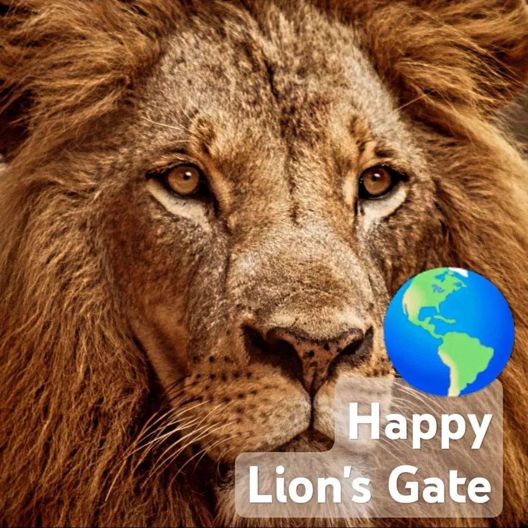 Happy Lion's Gate 🌟

Focus on seeing your Dreams achievement