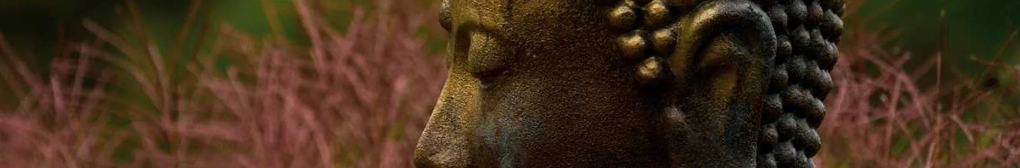 Brahmavihara Retreats - DSMC