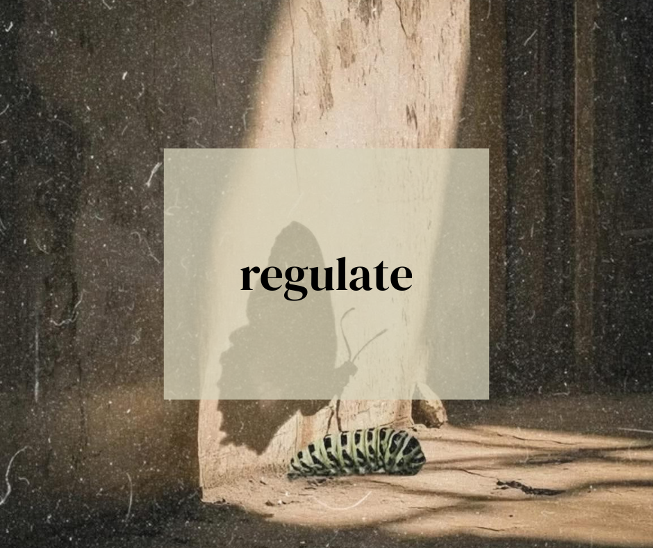 6 month support programme for women in early motherhood