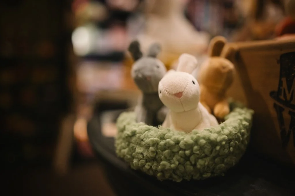 Mr Wolf Hexham-43.jpg