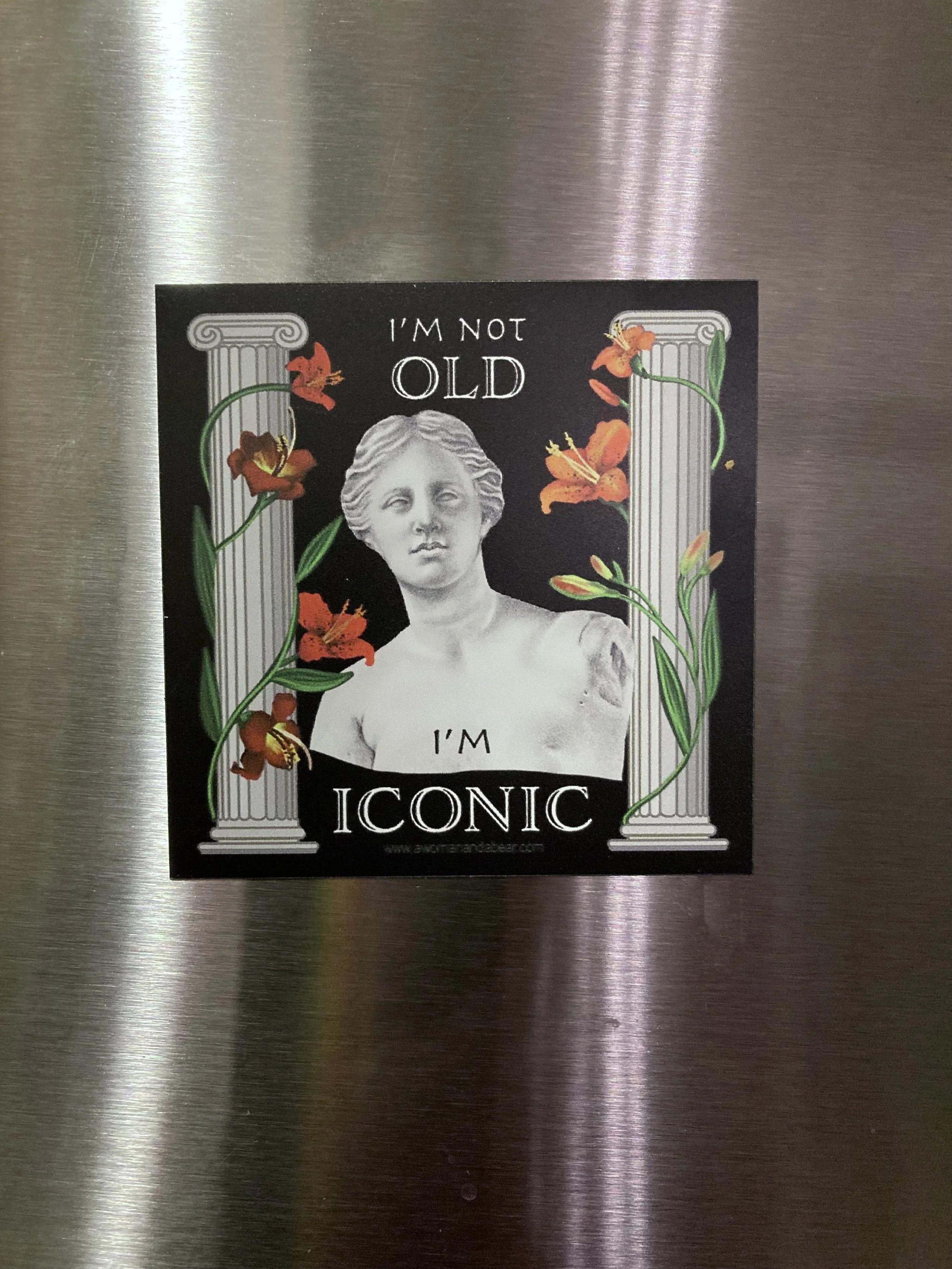 Iconic magnet on frig.jpg