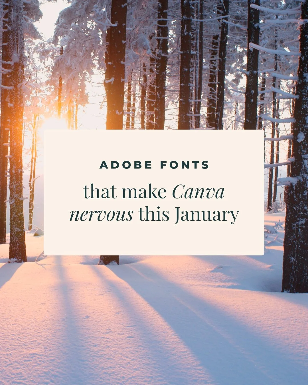 Ok, it&rsquo;s time for the January reset.

You&rsquo;ve overindulged at Christmas, enjoyed a well-earned break from business-ing, and maybe pretended emails didn&rsquo;t exist for a bit&hellip; but January has hit 😅
The motivation is motivating, th