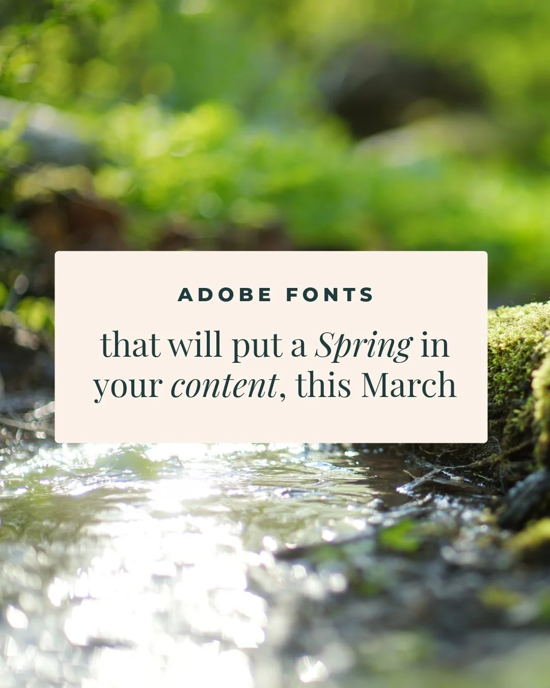 Spring into fresh designs 🌱

Spring is here, and it&rsquo;s amazing how the season&rsquo;s warmth and brightness breathe new life into our content! 🌞 With playful fonts and fresh ideas, let&rsquo;s elevate creativity and embrace the joy of renewal.