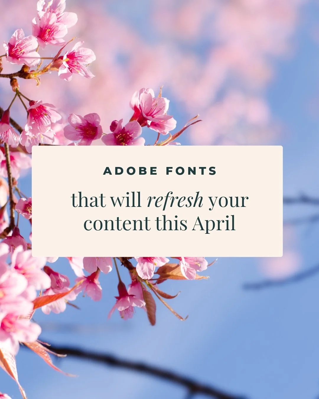 It really feels like spring is in full swing this week 🌸 The sun&rsquo;s been shining, the clocks have changed, and these lighter evenings honestly feel like such a gift.

Things have been super busy in the studio lately, with lots of new projects c