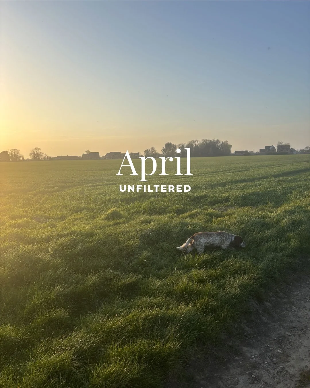 April has been a good month, school holidays, trips away with friends, and lots of coffee (and wine).

1. Dog walks whilst the sun sets
2. New coffee shop happiness 
3. These girls + wine = pure joy
4. Breakfast spread of dreams
5. Sunshine selfie
6.