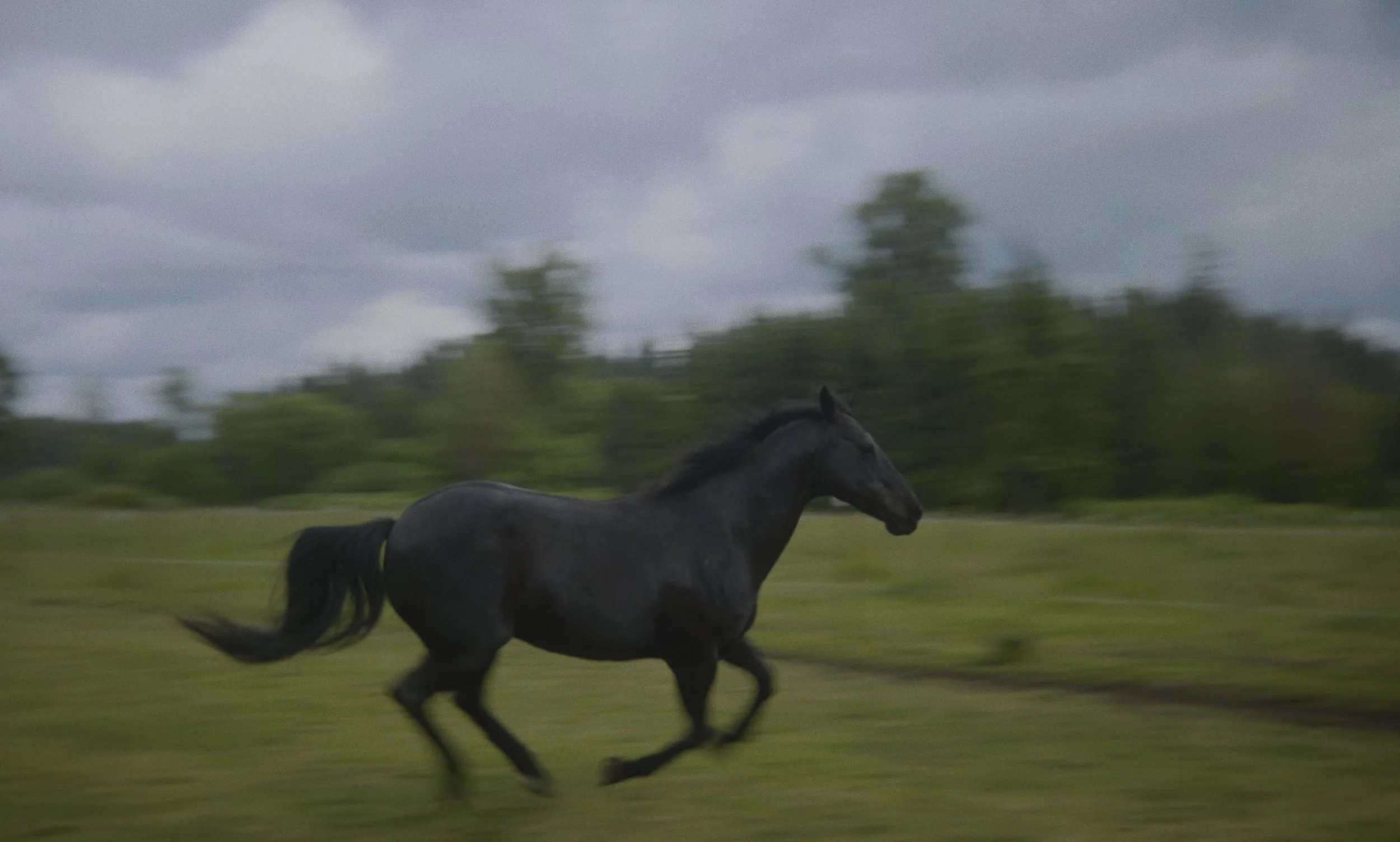 Screenshot 2025-12-04 at 9.56.04 AM.jpg