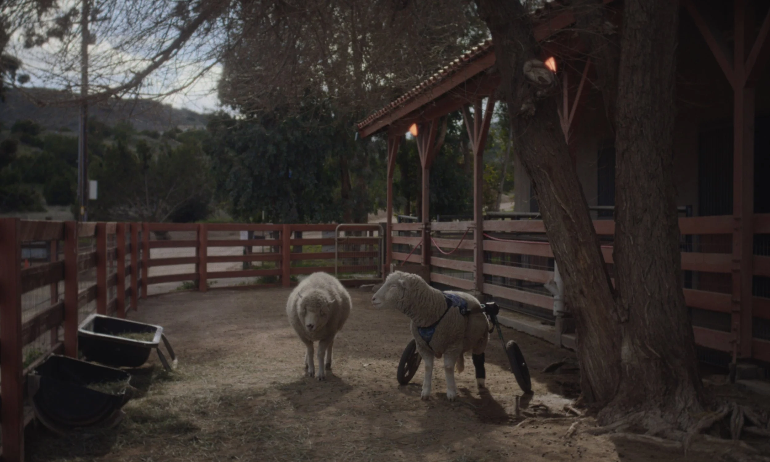 Screenshot 2025-12-03 at 11.44.13 AM.jpg