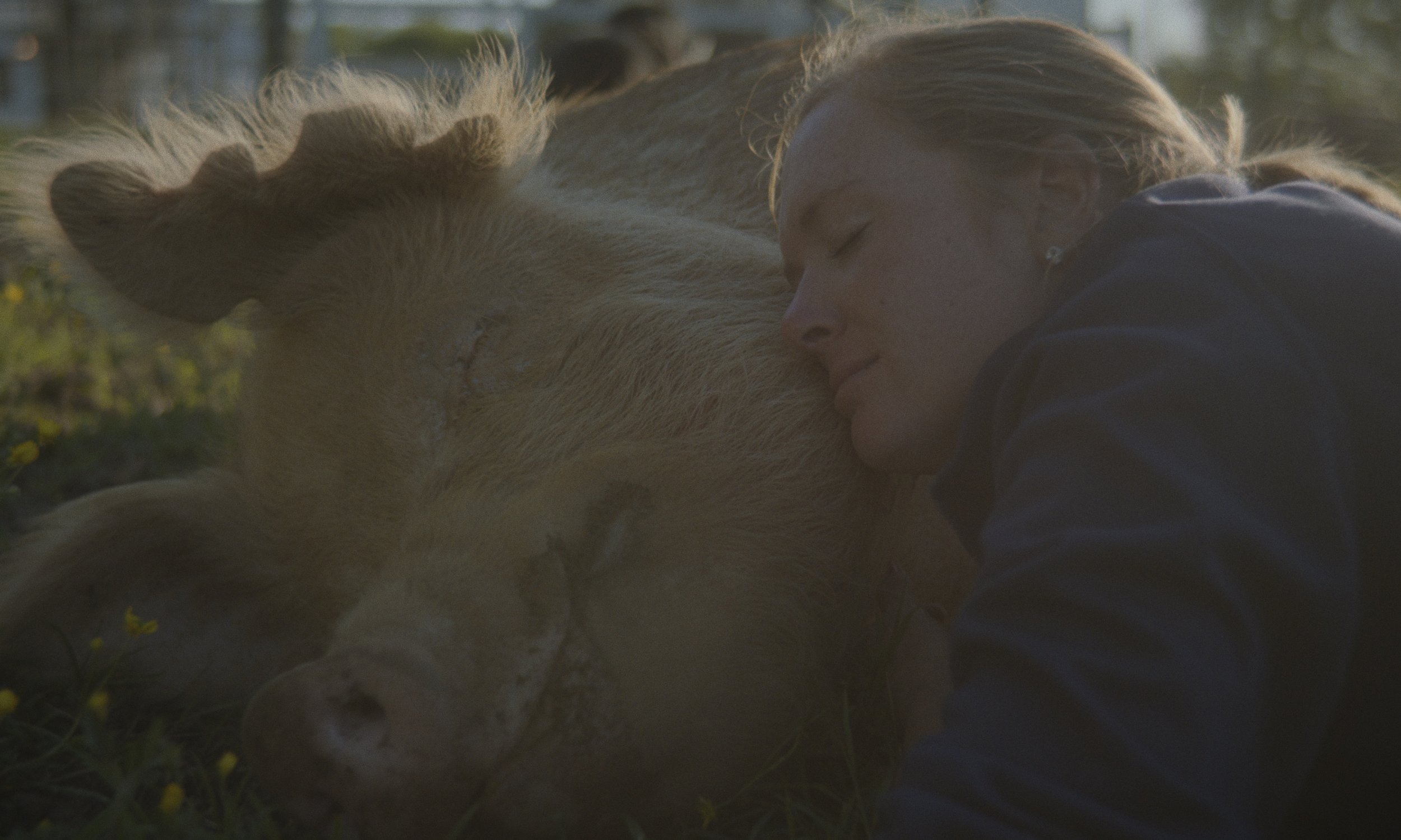 Screenshot 2025-12-03 at 11.37.07 AM.jpg