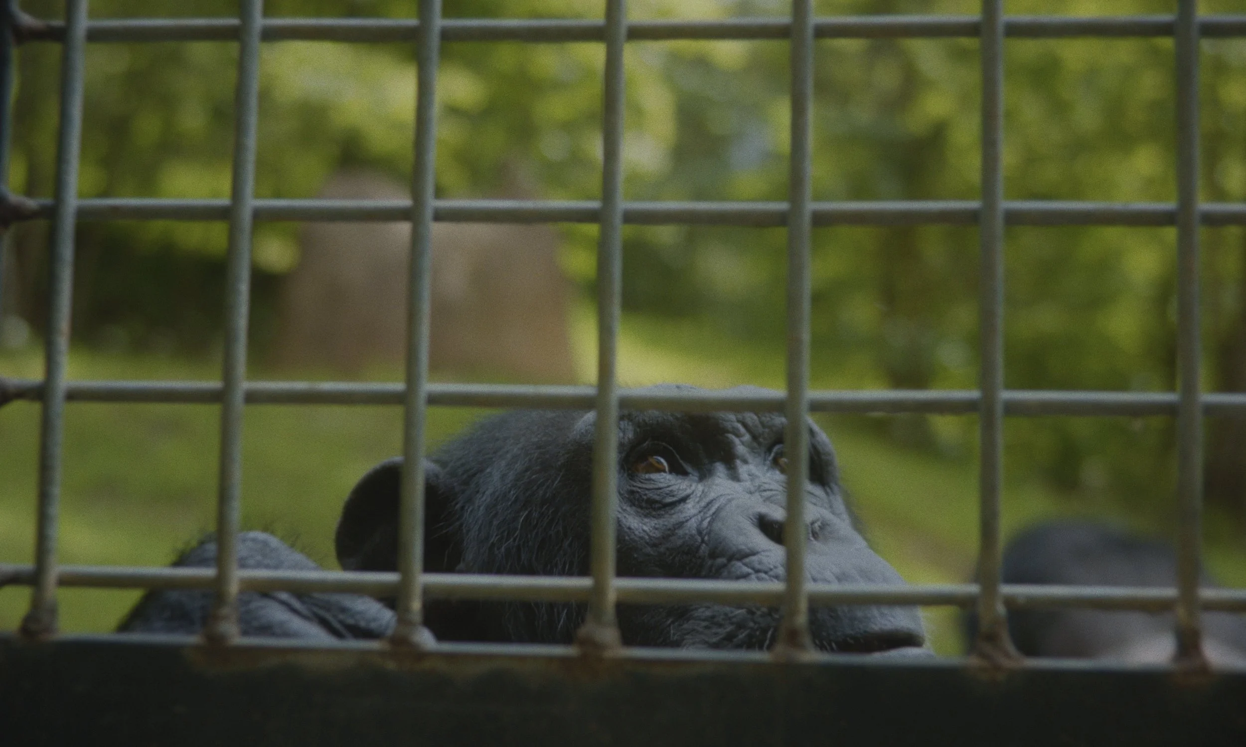 Screenshot 2025-12-03 at 11.34.50 AM.jpg