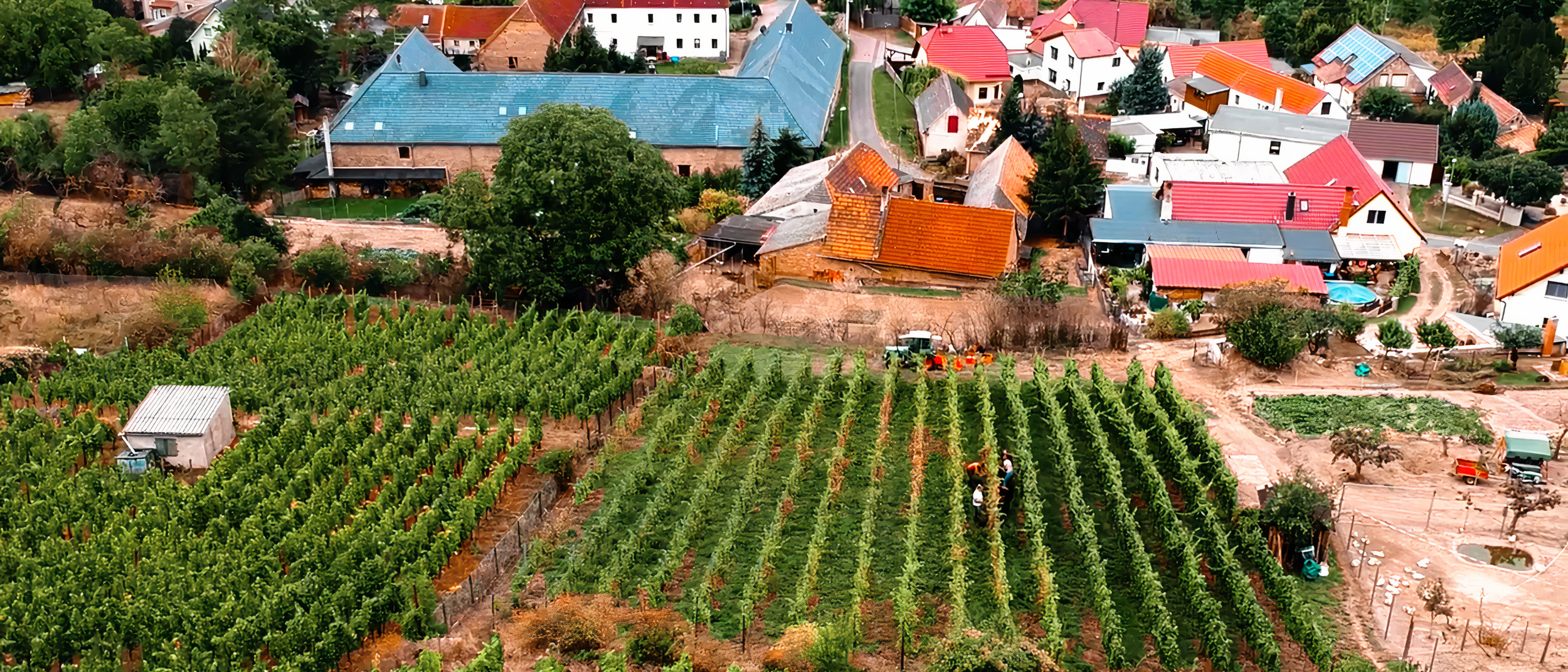 Social Media Content Produktion für Premium-Weingut und Hotel-Resort. Internationale Kampagne über 3 Standorte in Deutschland, Österreich und der Schweiz (DACH). Full-Service Tourismus-Marketing und Reel-Produktion durch easy productions.