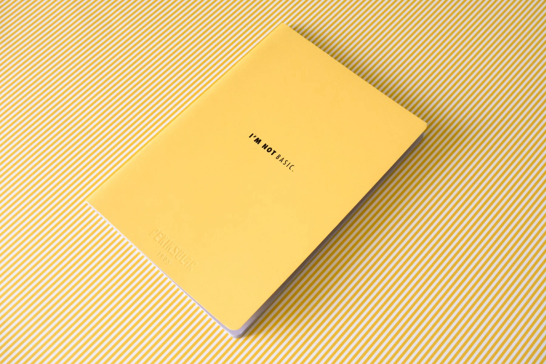 joanacruz_pnotebooks_basic__6.jpg