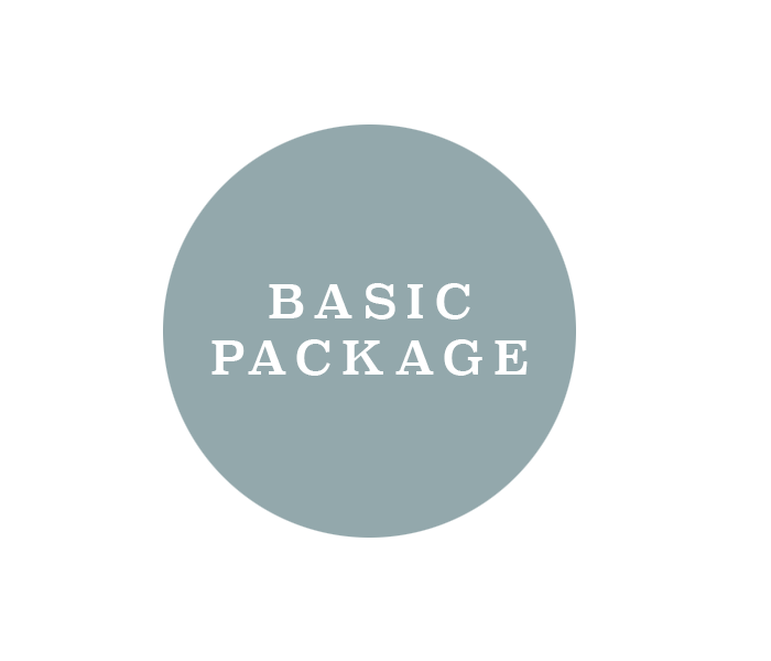 Basic.png