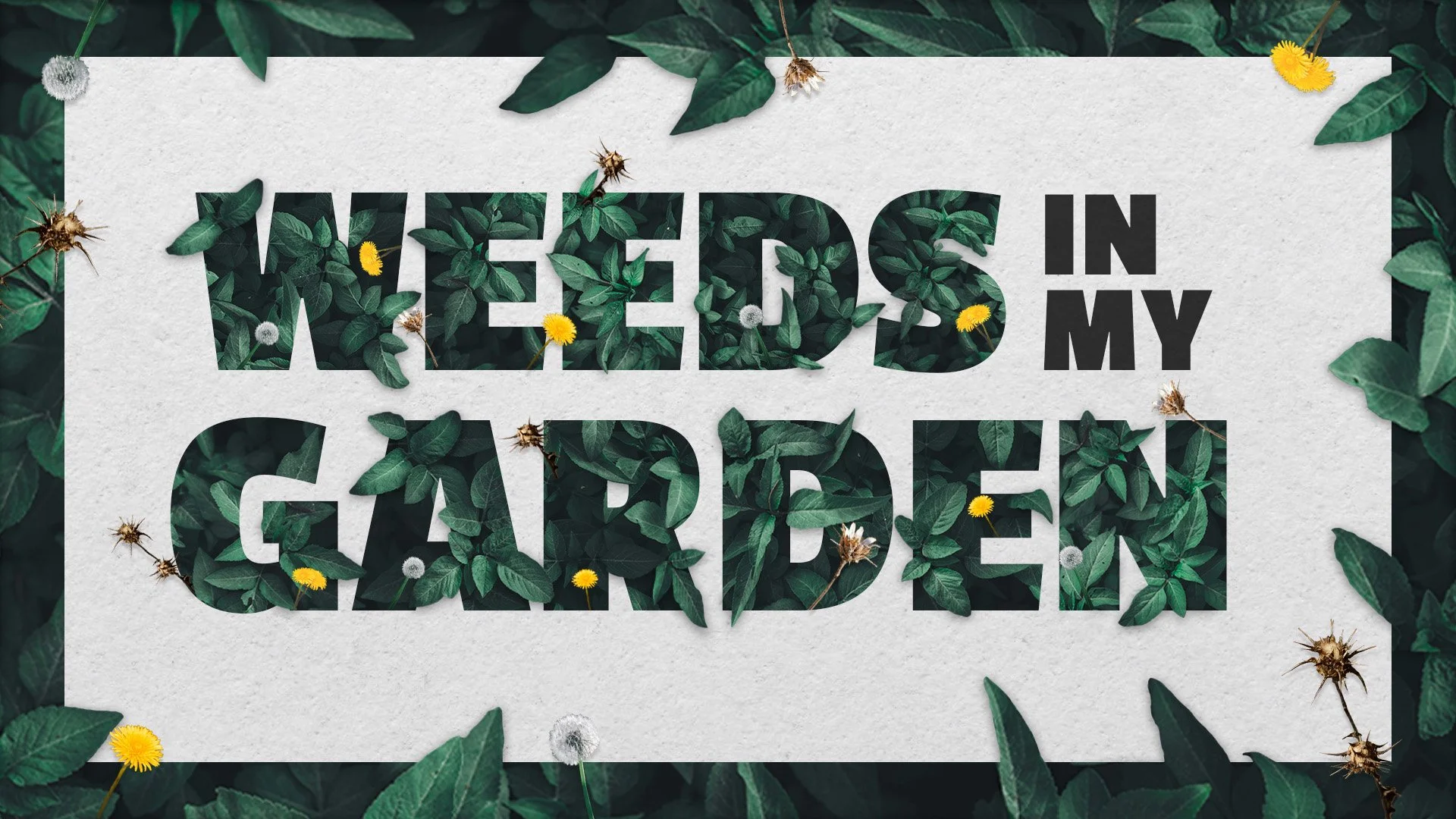 Weeds.jpg