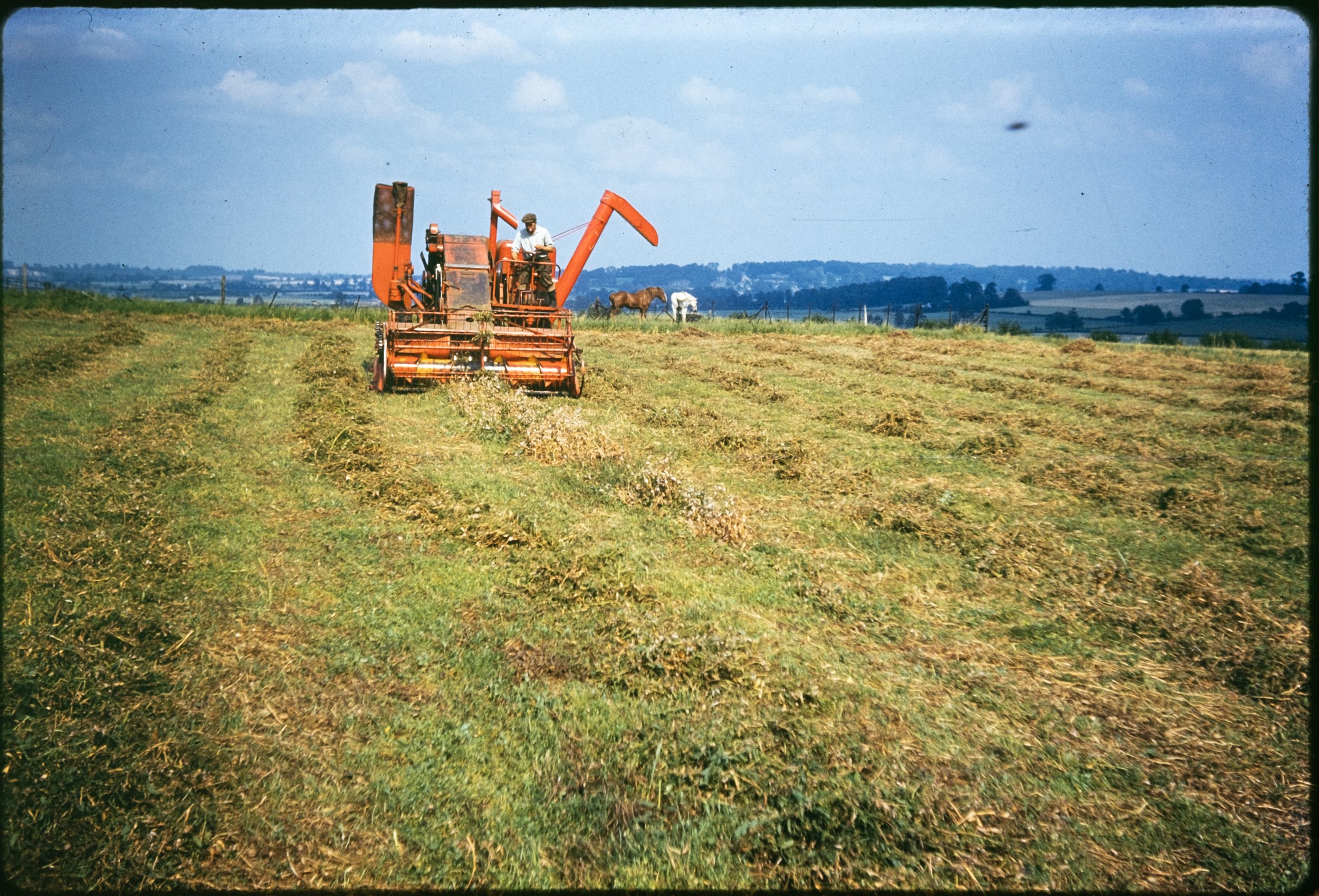 A newer combine harvester that empties the wheat into trailers rather than into sacks.