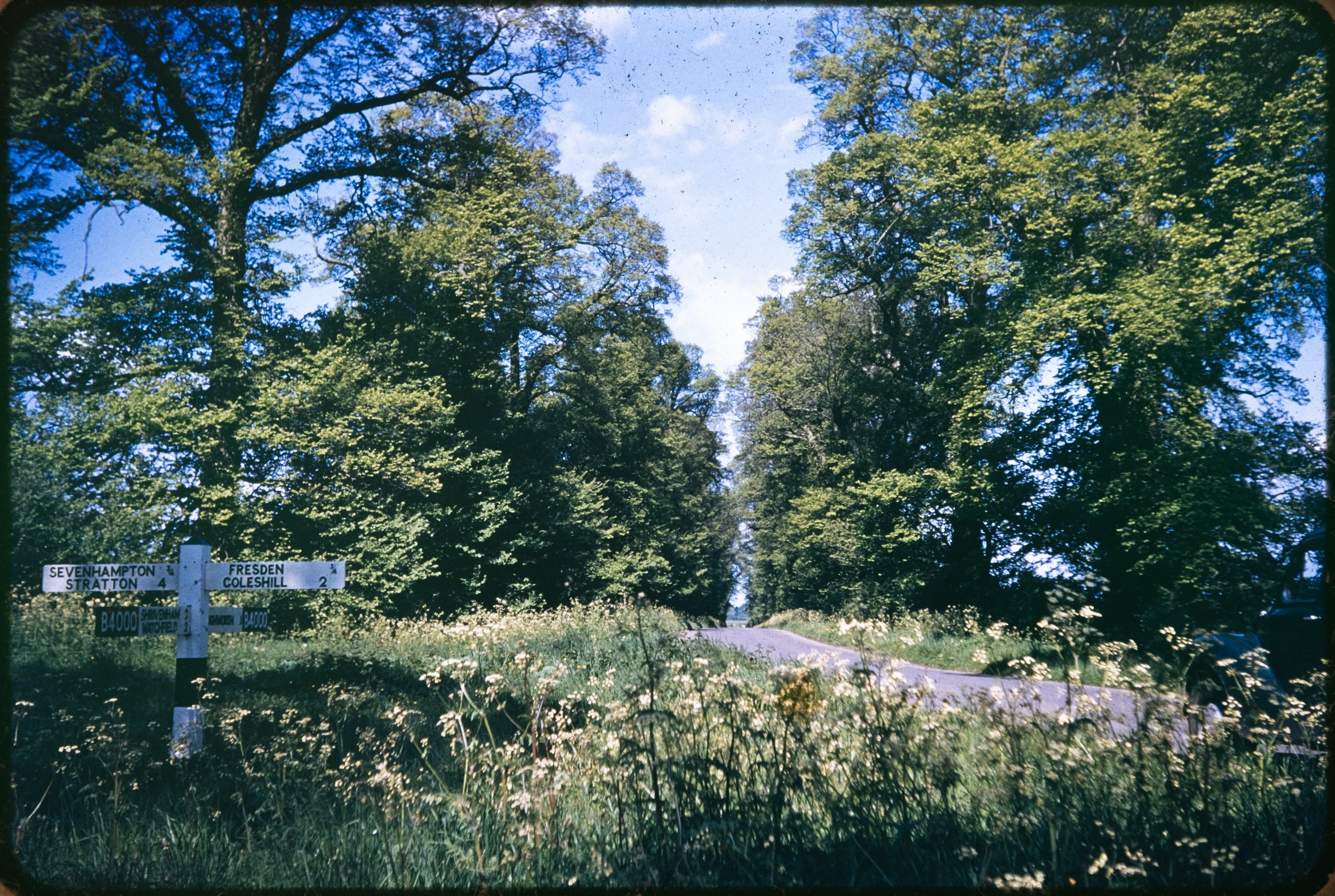 A local country lane in the spring.