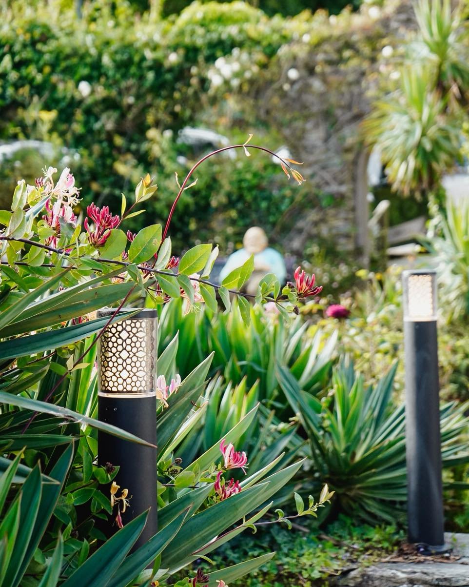 Morning coffee or an afternoon stroll? 🌺

Our gardens are the perfect place to wander and immerse yourself. We have a variety of plants surrounding our beautiful lawns overlooking the sea - one of the favourites is our lovely honeysuckle seen here! 
