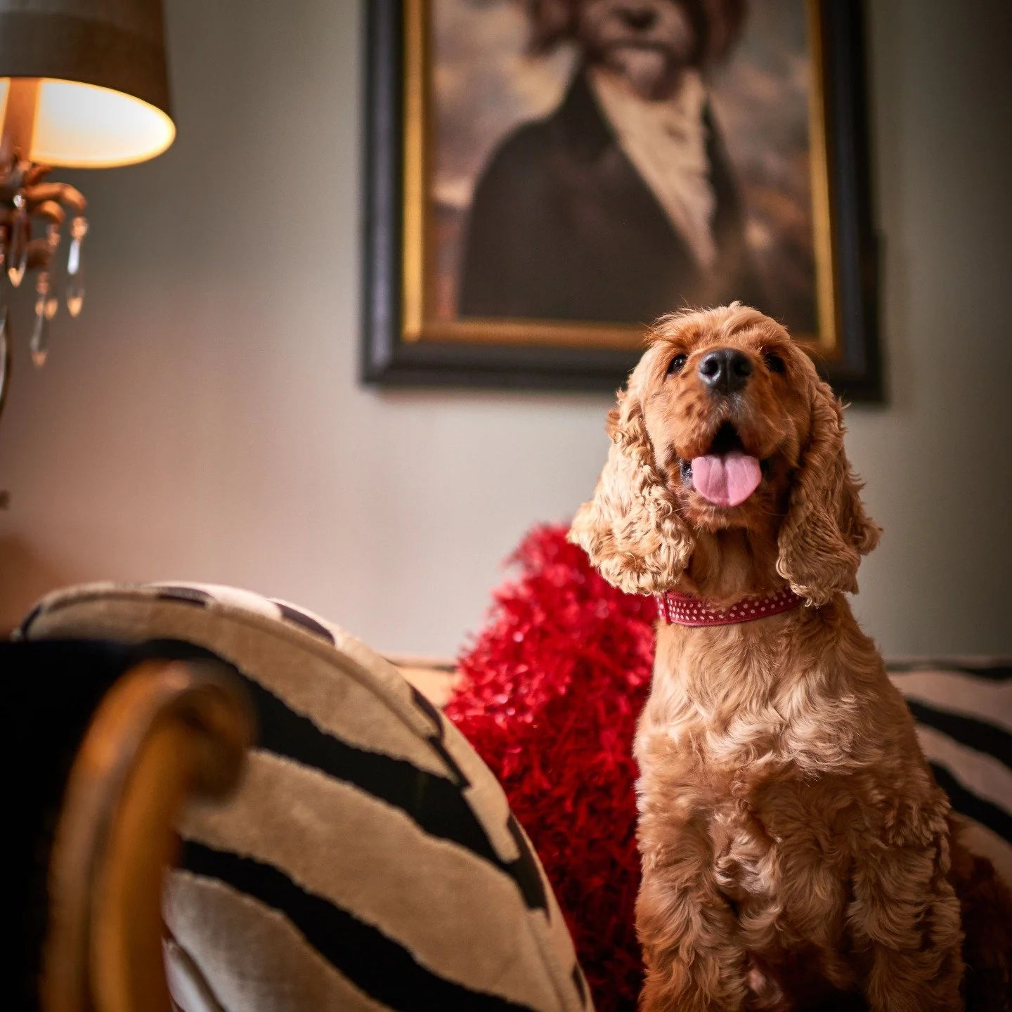 🐾 We aren't just dog friendly, we're pawsitively obsessed with pups! 🐾 

We&rsquo;re widely renowned (and not just among the canine crowd) as one of the most dog-friendly hotels in Cornwall - we've even won awards for it.

If your four-legged frien