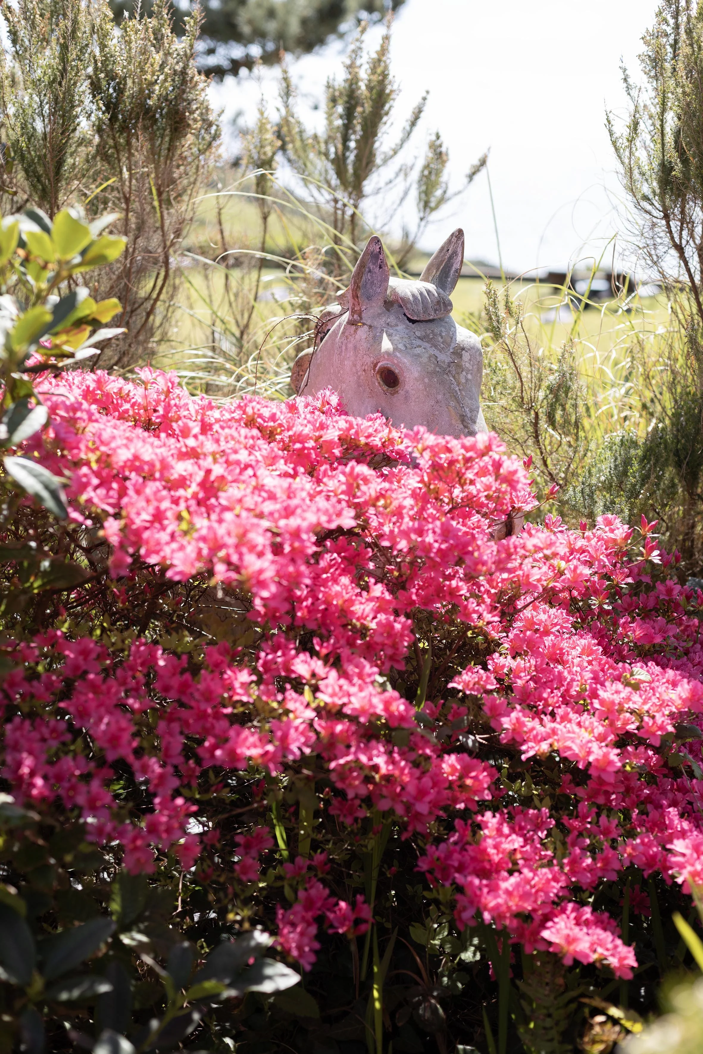 VALENTINE’S AT TALLAND BAY