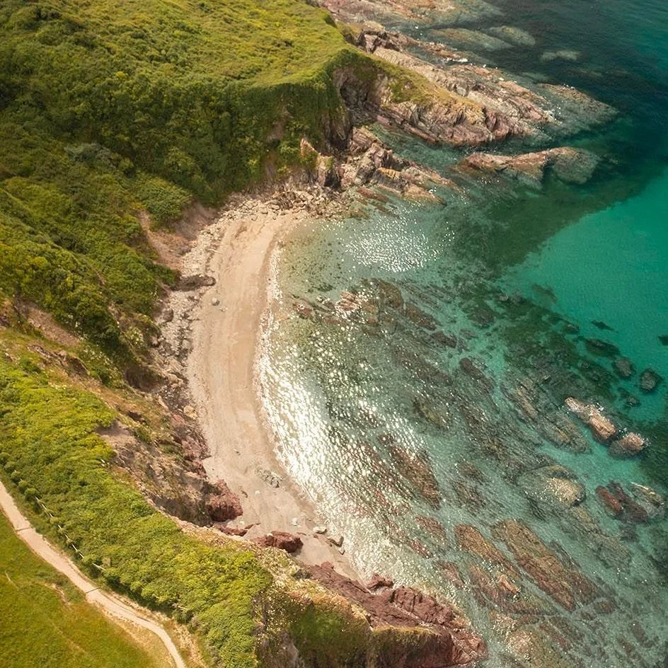 🌼 Spring has been spotted... 🌼 

The snowdrops are appearing, the daffodils are staging a cautious comeback, and the sea is looking ever-so-slightly more inviting, if only for the brave... 

Out on the coast path, things are starting to unfurl. Bri