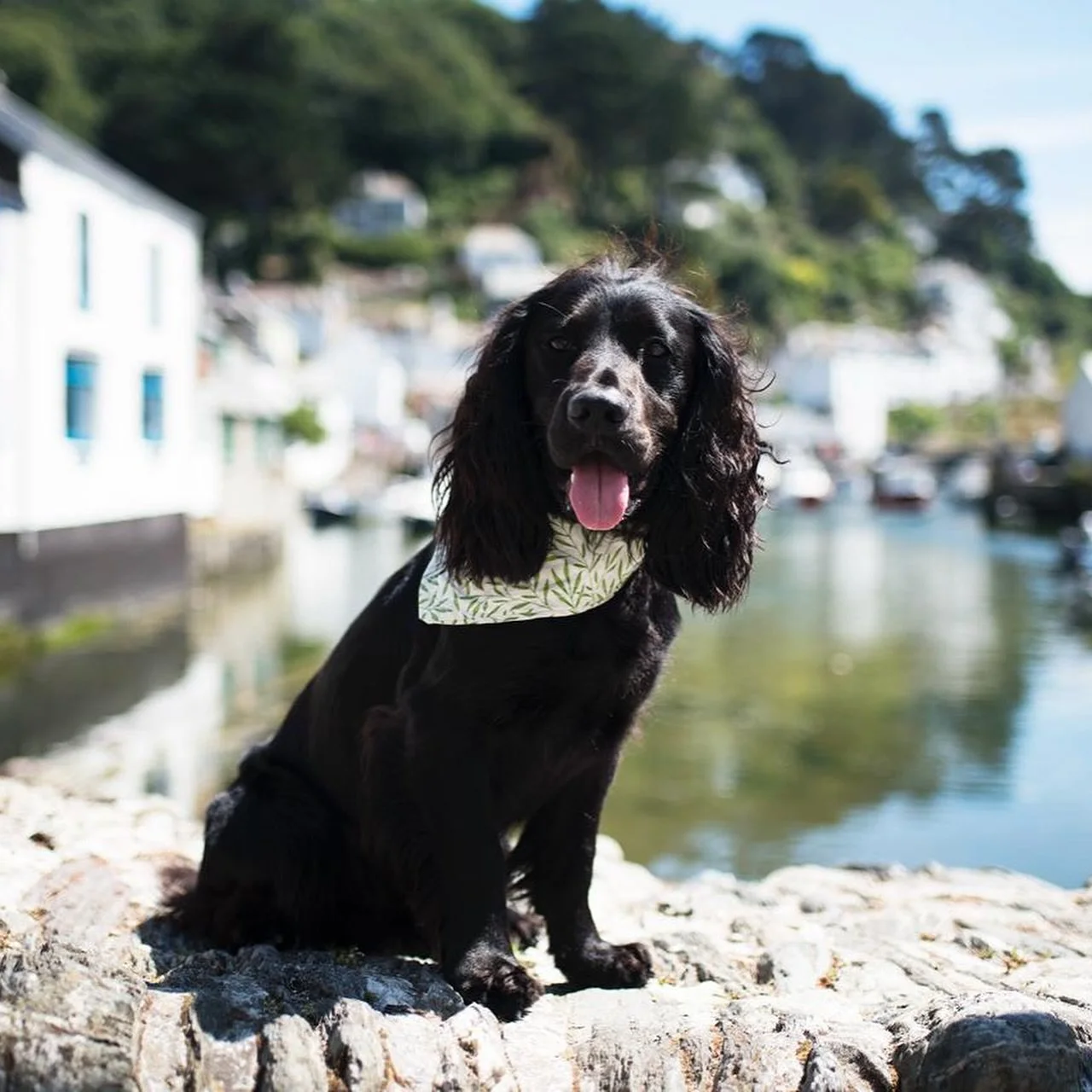 The sun finally came out. Not a fleeting cameo, but the real thing: here all day, long, bright and entirely convincing 🌞 

With it came drinks outside, adventures on four legs and two, the shrugging off of winter coats, and the feeling that you&rsqu