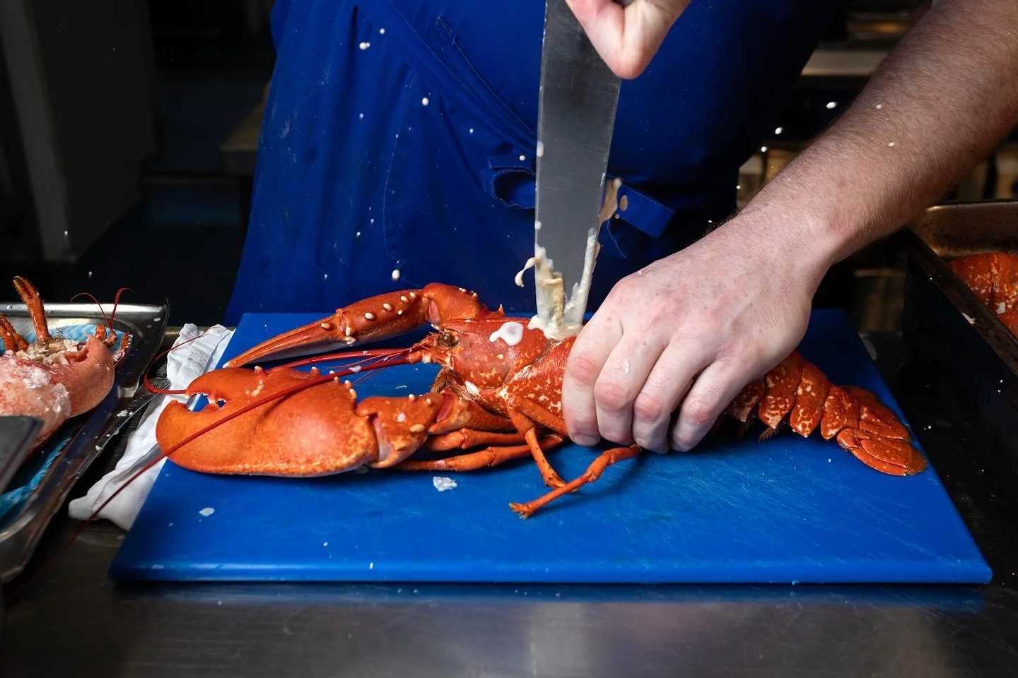 Lobster season has returned to Talland! 

It happens like clockwork; May arrives and suddenly you can spot the lobster pots bobbing out at sea just beyond the garden. Lobsters landed in Looe at first light, hand-delivered to Glen and the kitchen team