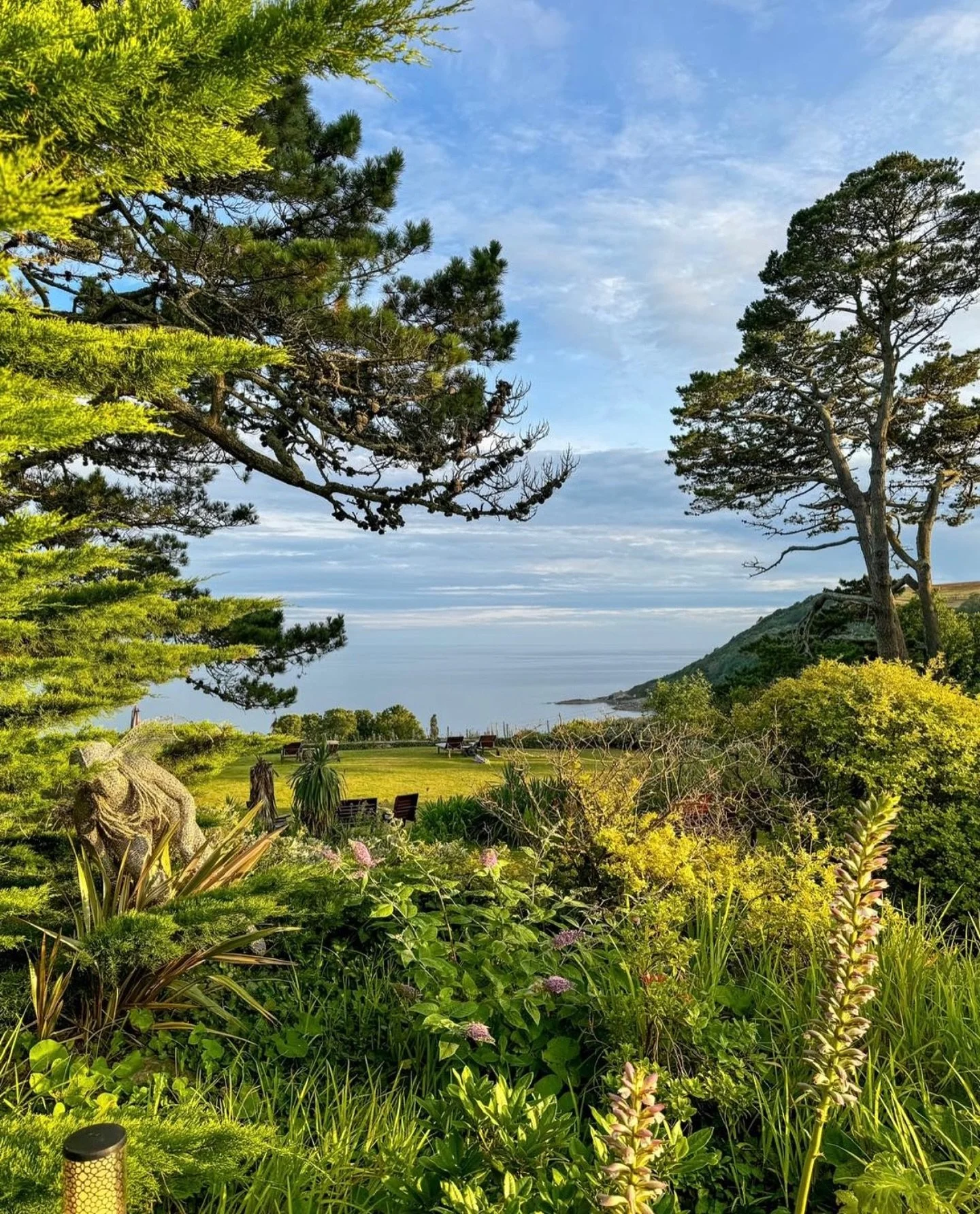 From sunshine to showers in the space of a week&hellip;Cornwall sure does like to keep us all on our toes on the weather front! 

But if there&rsquo;s one thing we do know, it&rsquo;s that June rain means our gardens will be looking even greener come