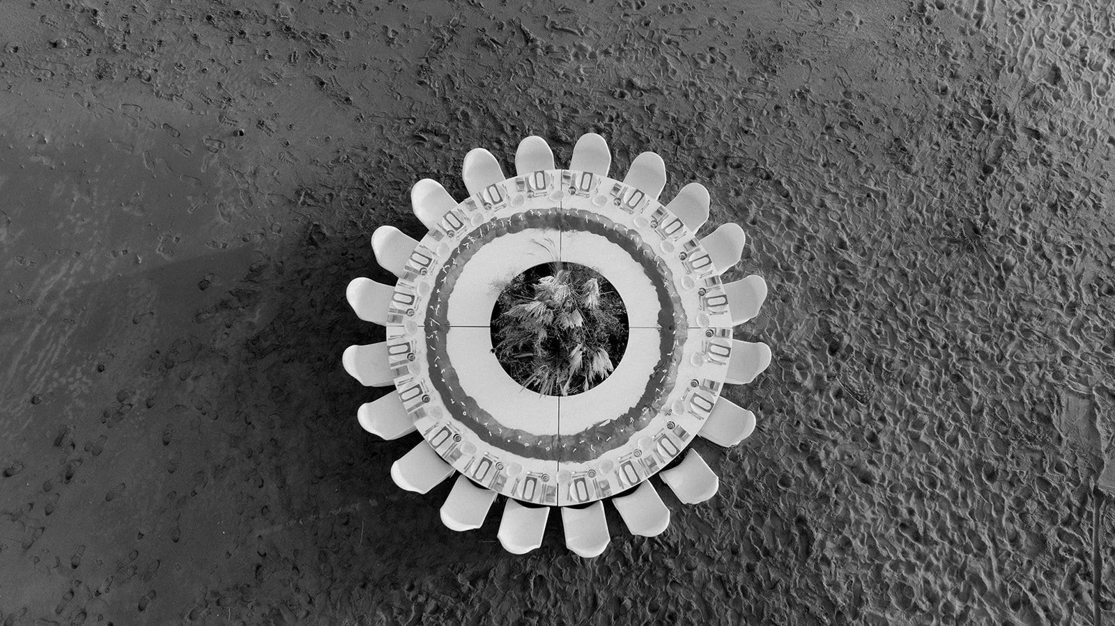 drone shot of a donut table wedding setup