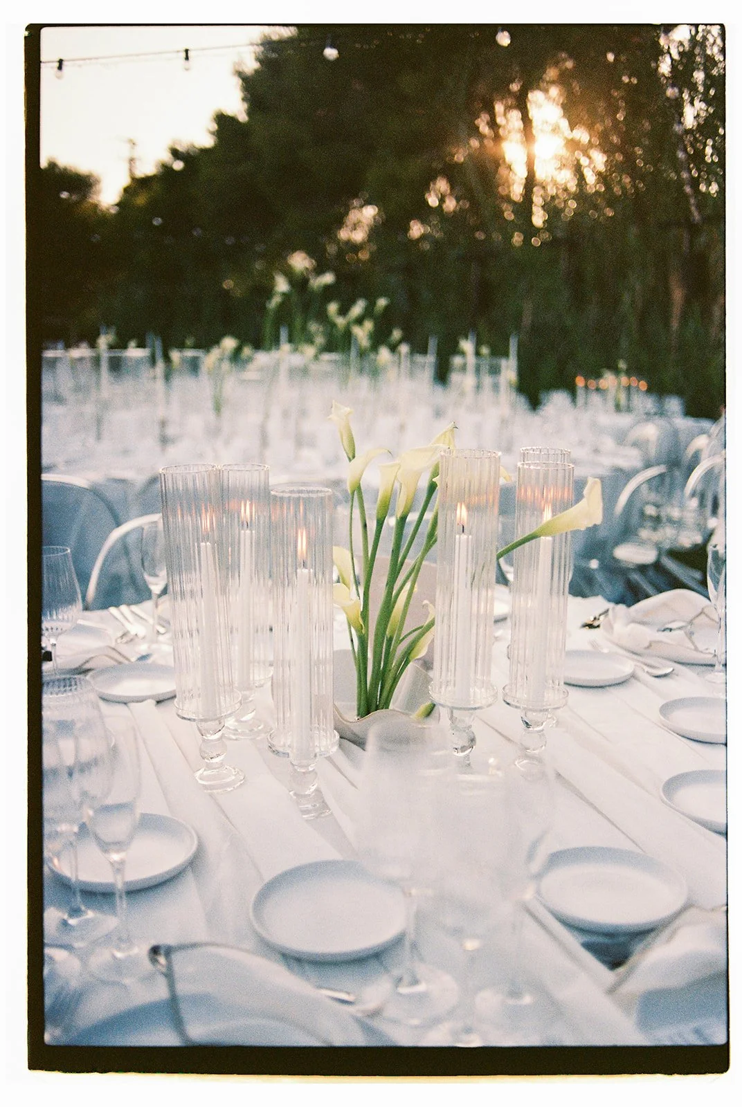 white cala lily round table vase