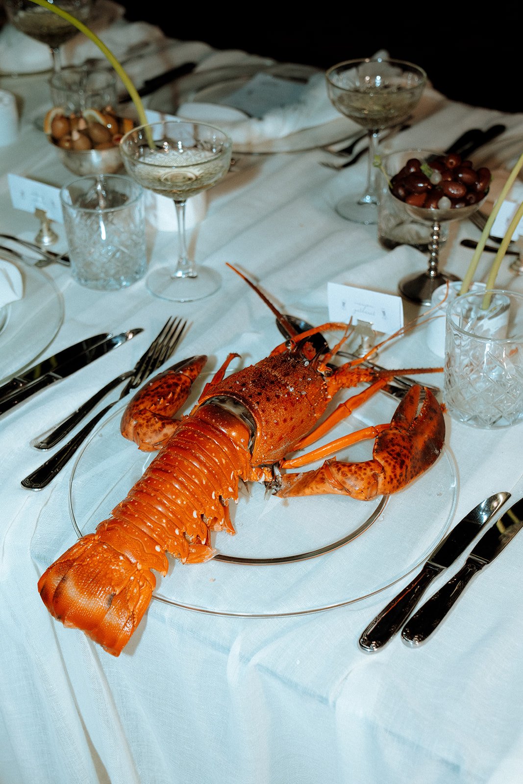 lobster shoot wedding on a plate 