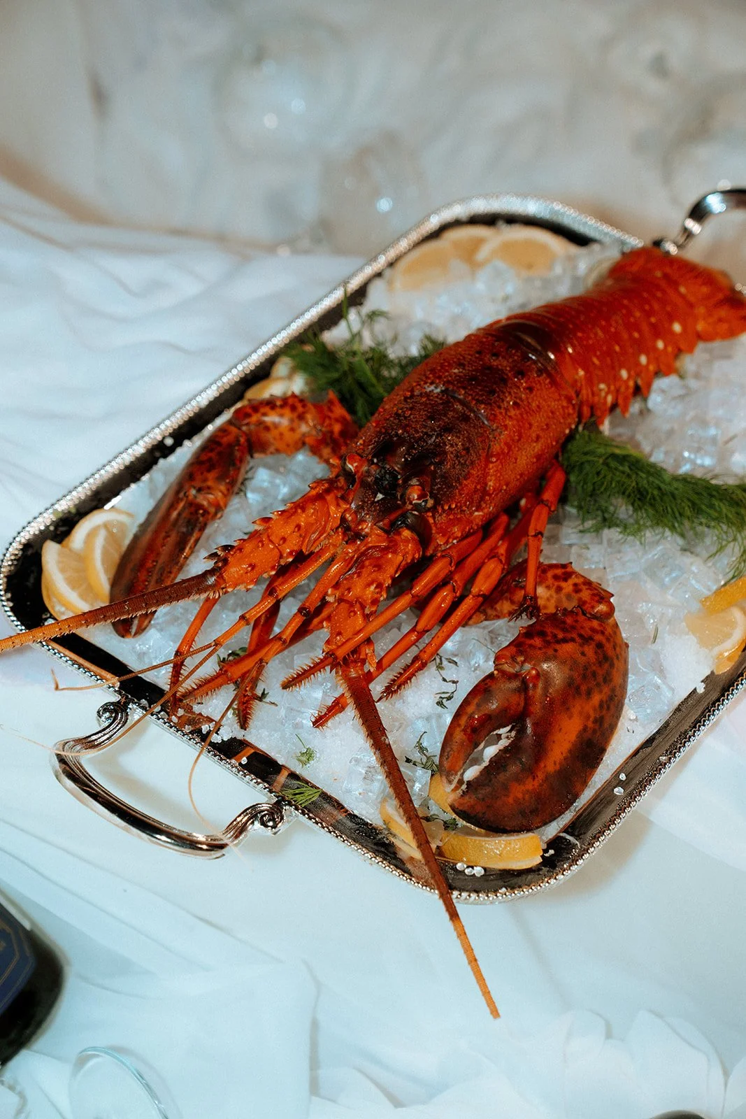 lobster in a silver tray 