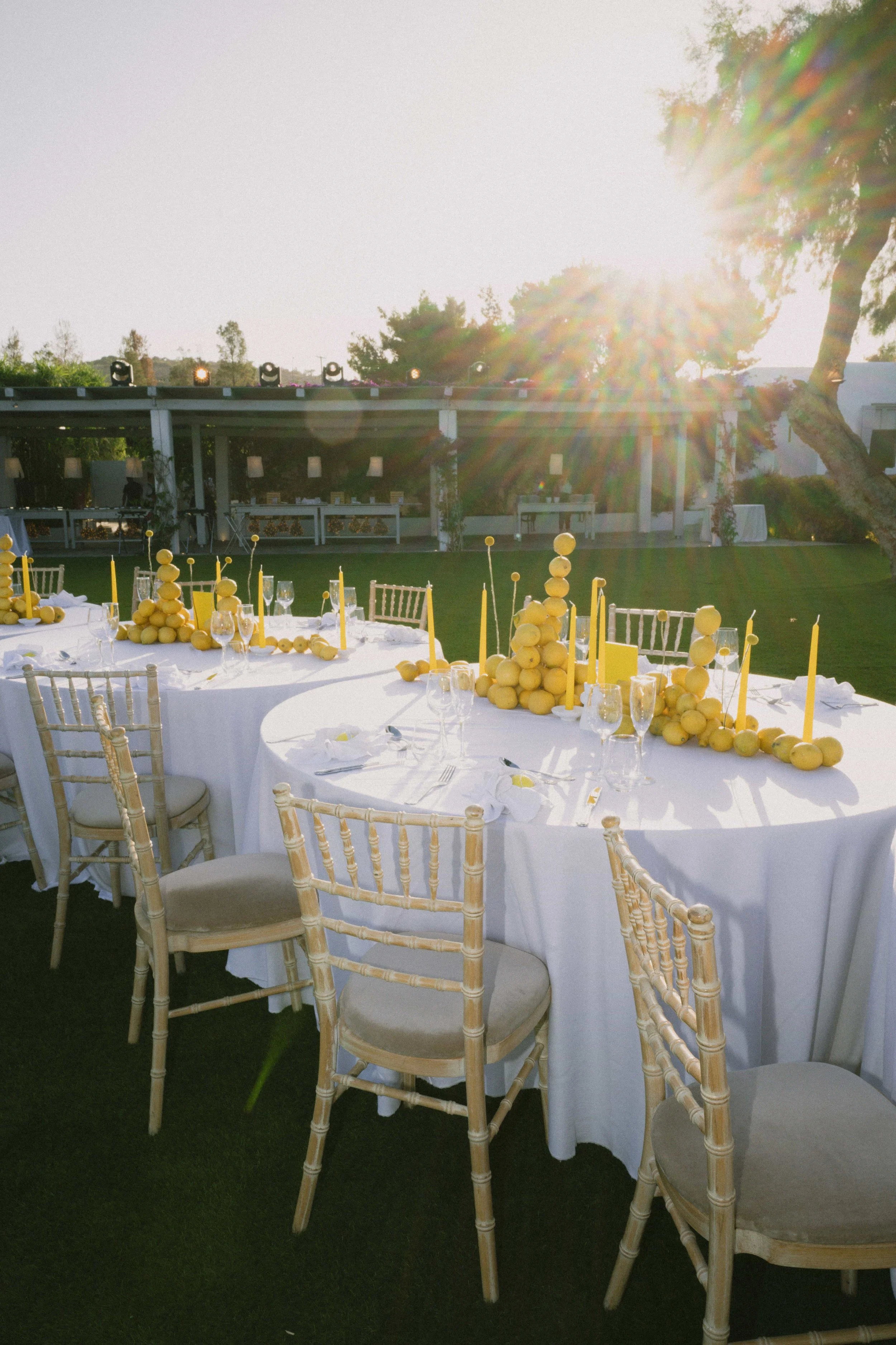 lemon wedding setup