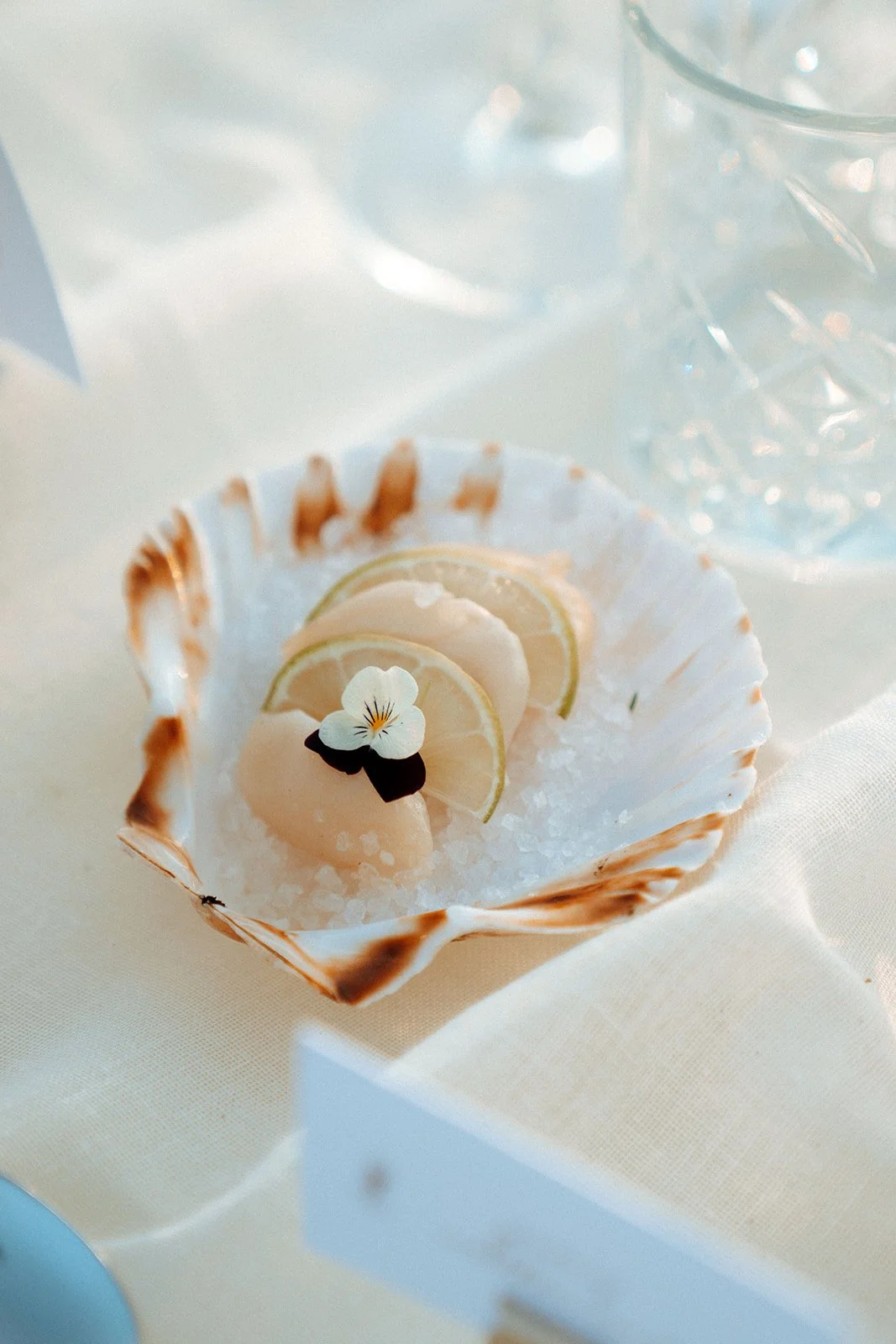 clams wedding decoration 