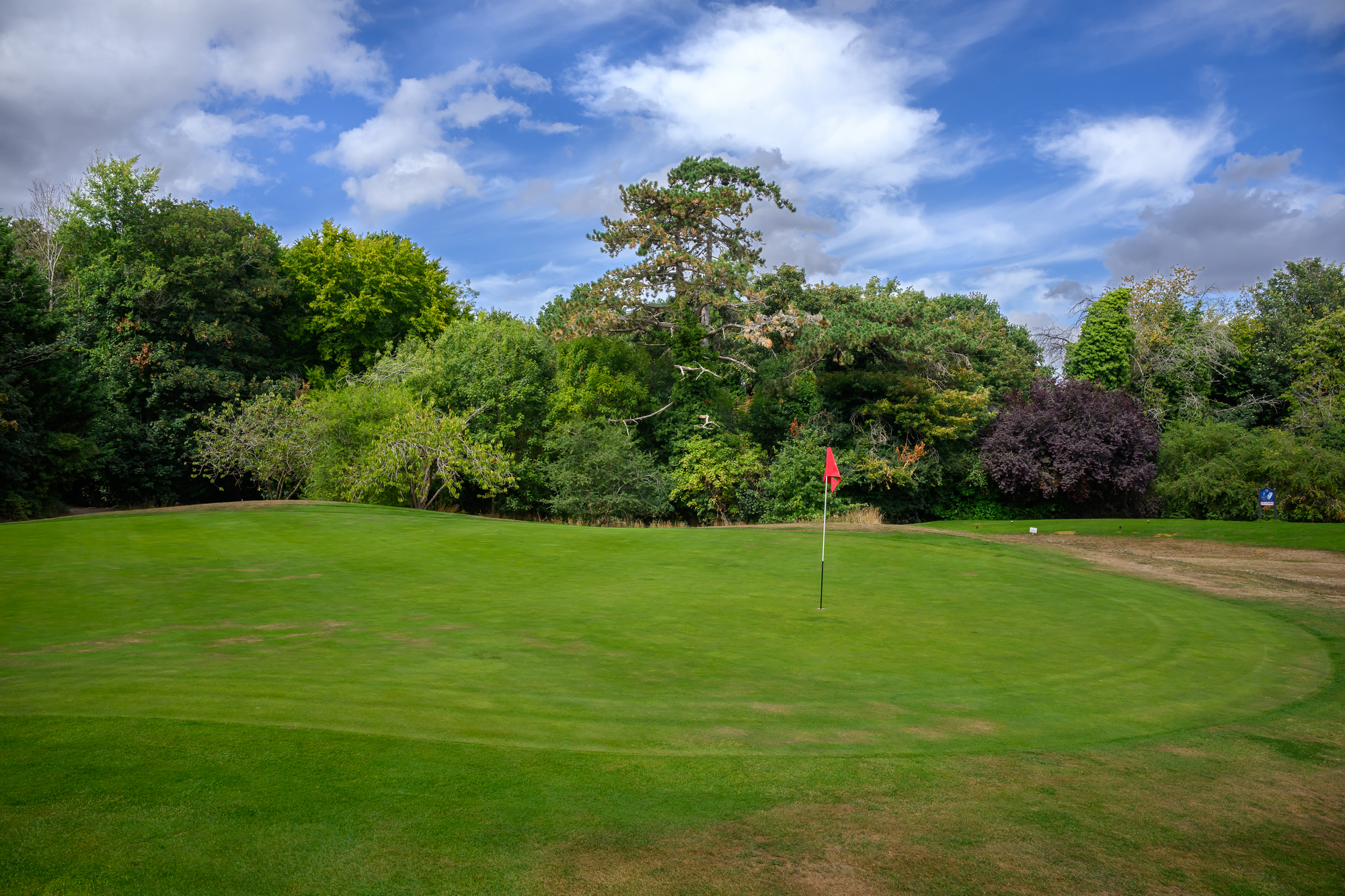 A golf course green with a flagstick and hole, surrounded by trees and a partly cloudy sky.