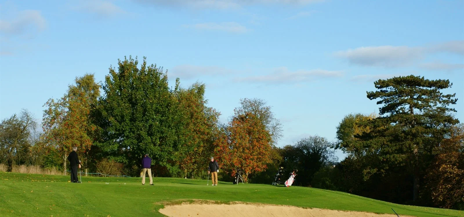 People playing golf on a course with trees in the background and a clear sky.