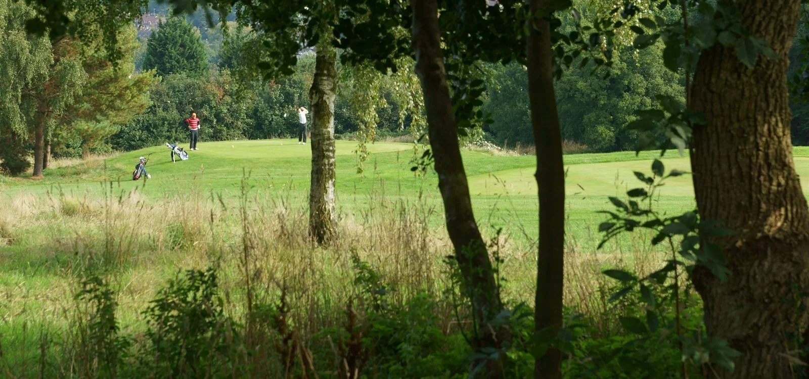 People playing golf on a golf course surrounded by trees and greenery