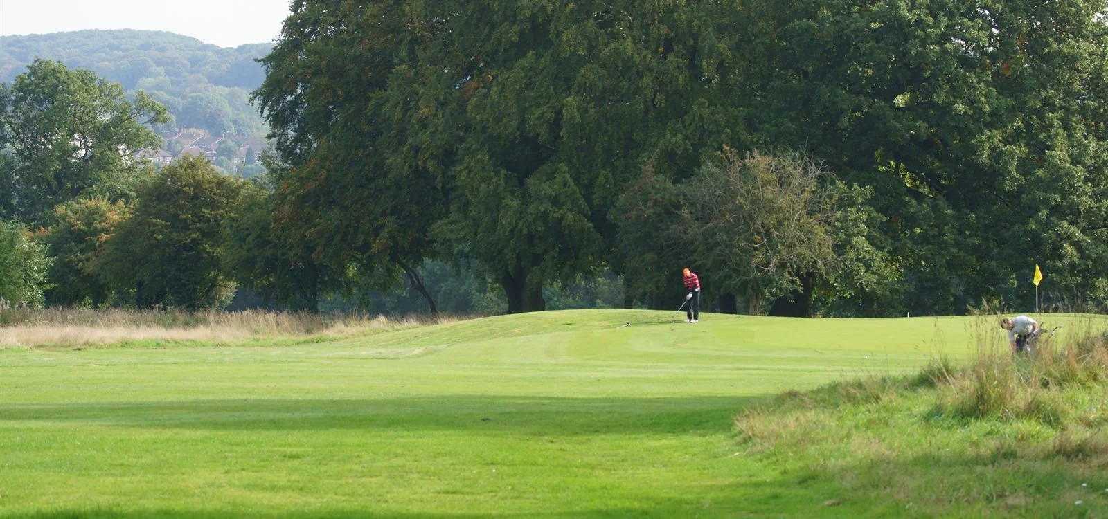 Two people playing golf on a lush green golf course with tall trees and a hill in the background under a clear sky.