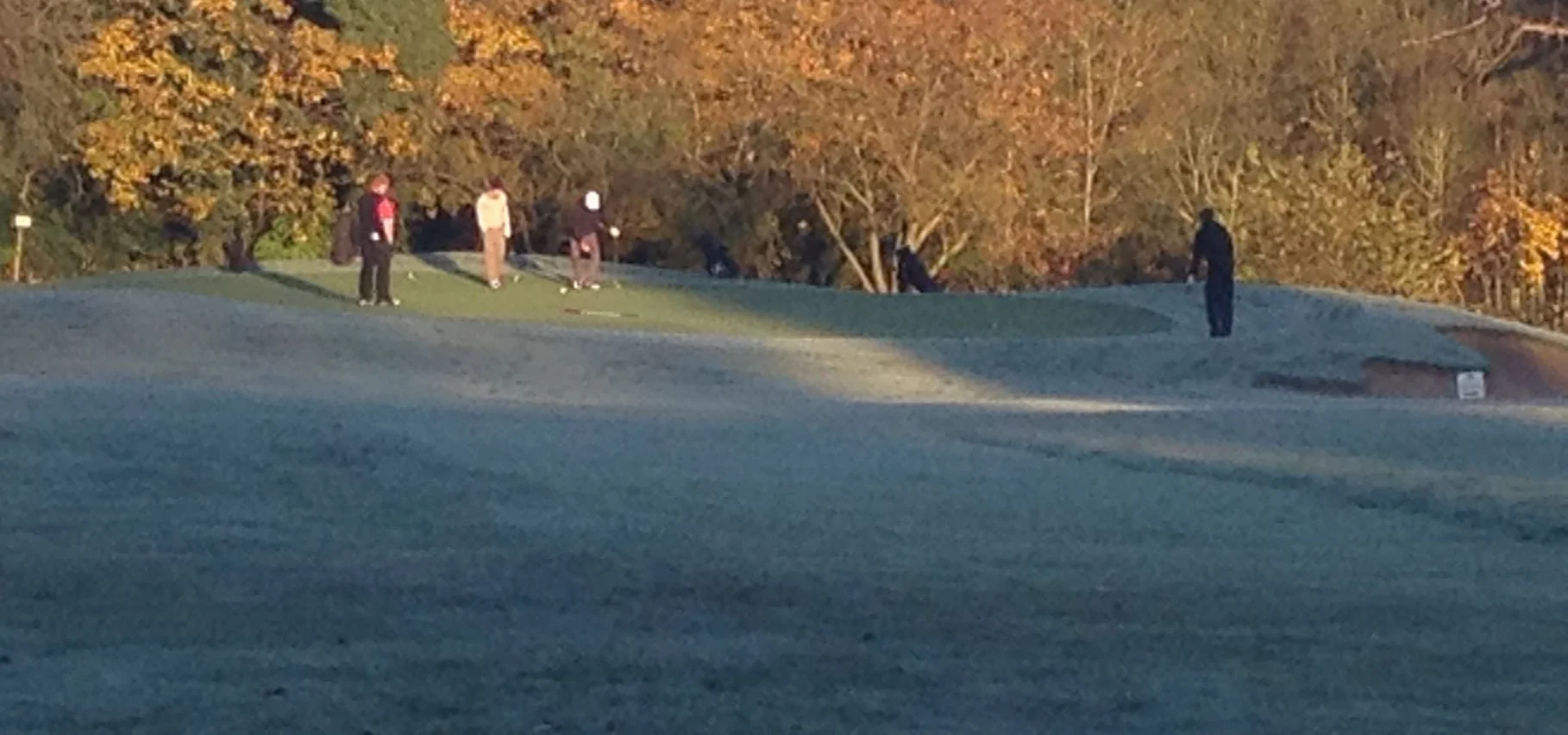Group of people playing golf on a golf course with trees in the background.