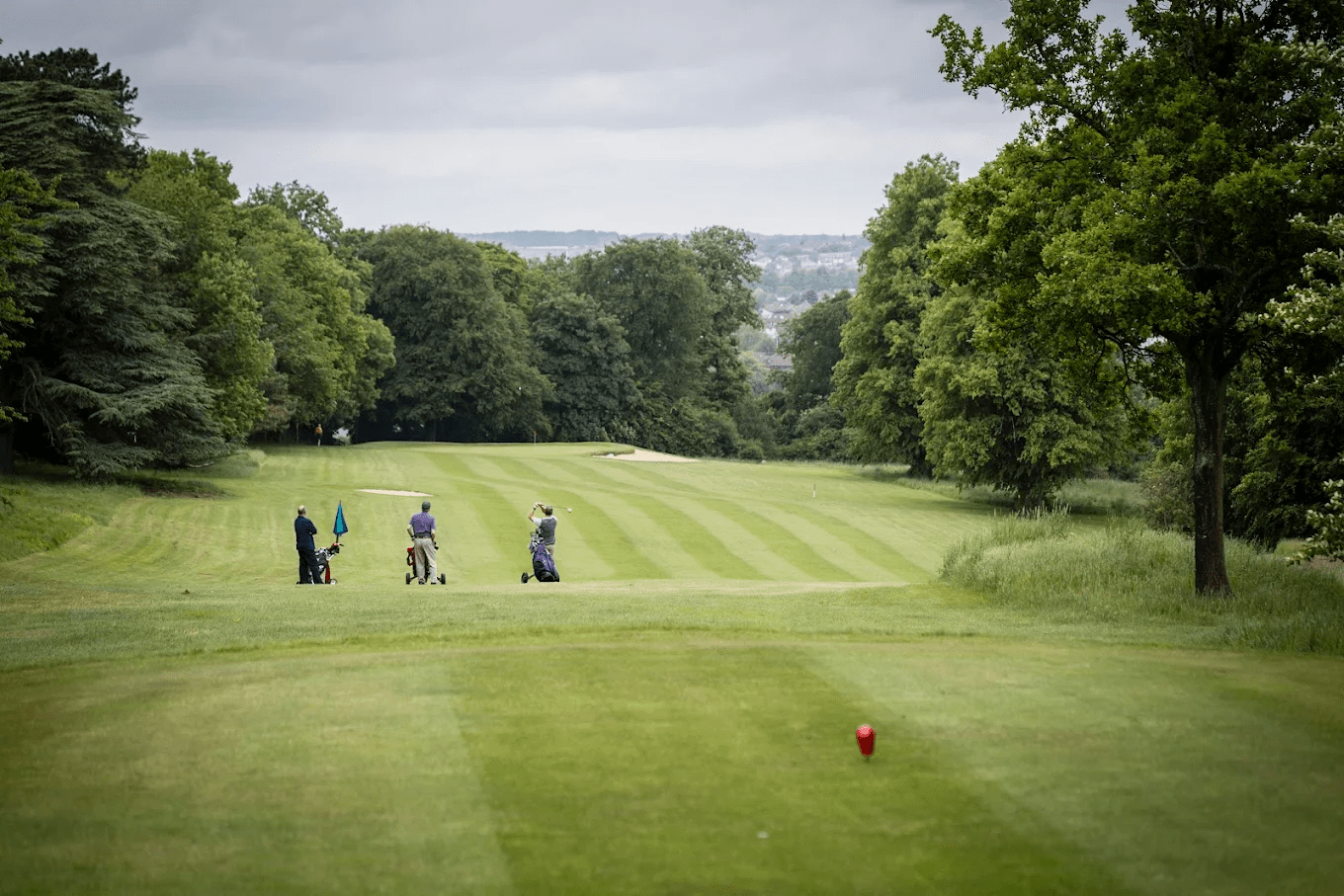 A golf course with three golfers preparing to hit their shots, surrounded by lush green trees under a cloudy sky.