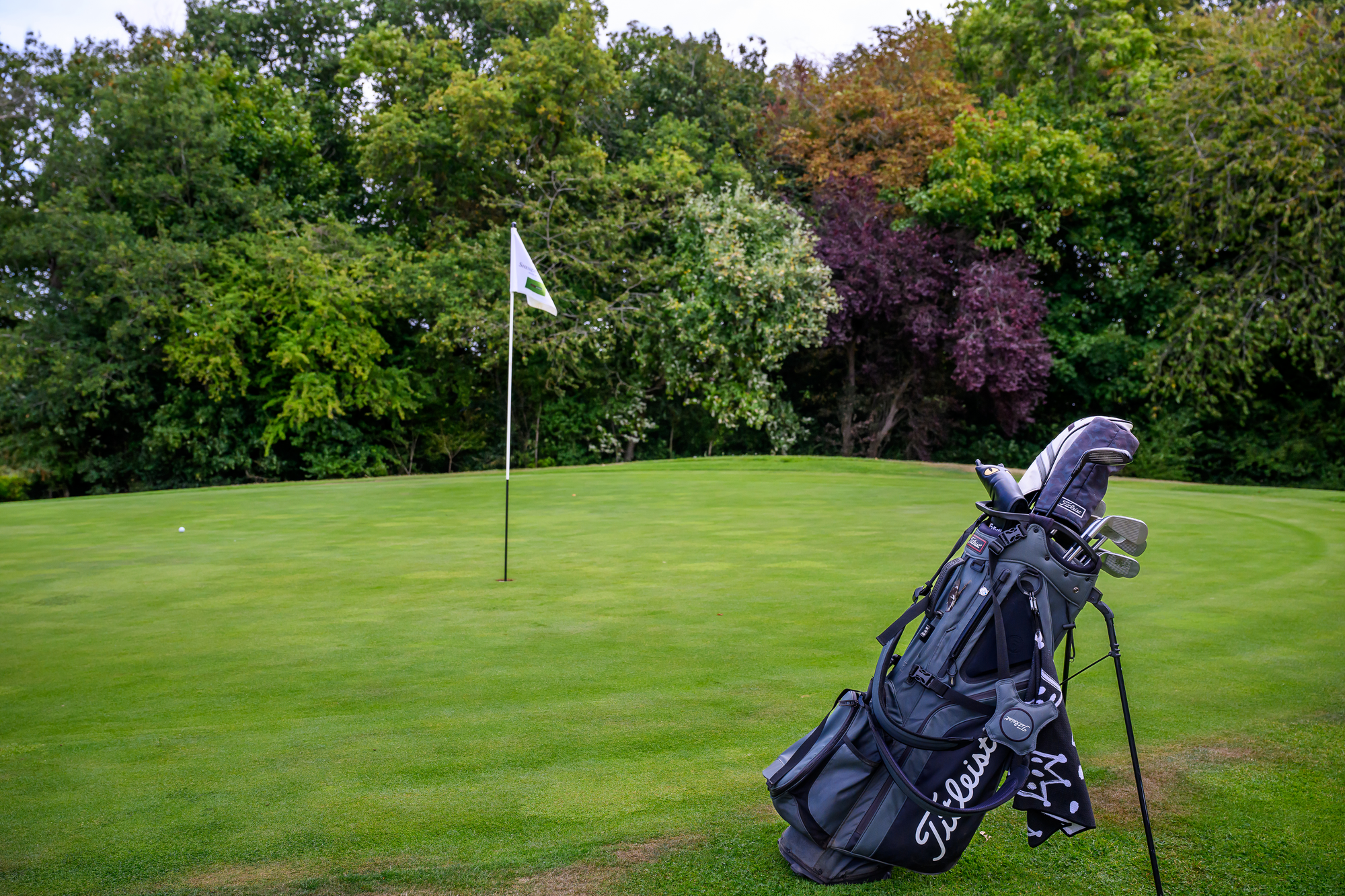 A golf bag with clubs on a golf course near the green, with a flag and trees in the background.