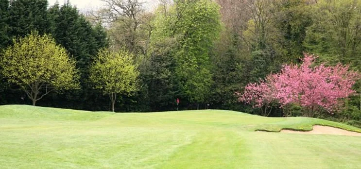View of a golf course green with a flag, surrounded by trees and blooming pink and green trees in the background.