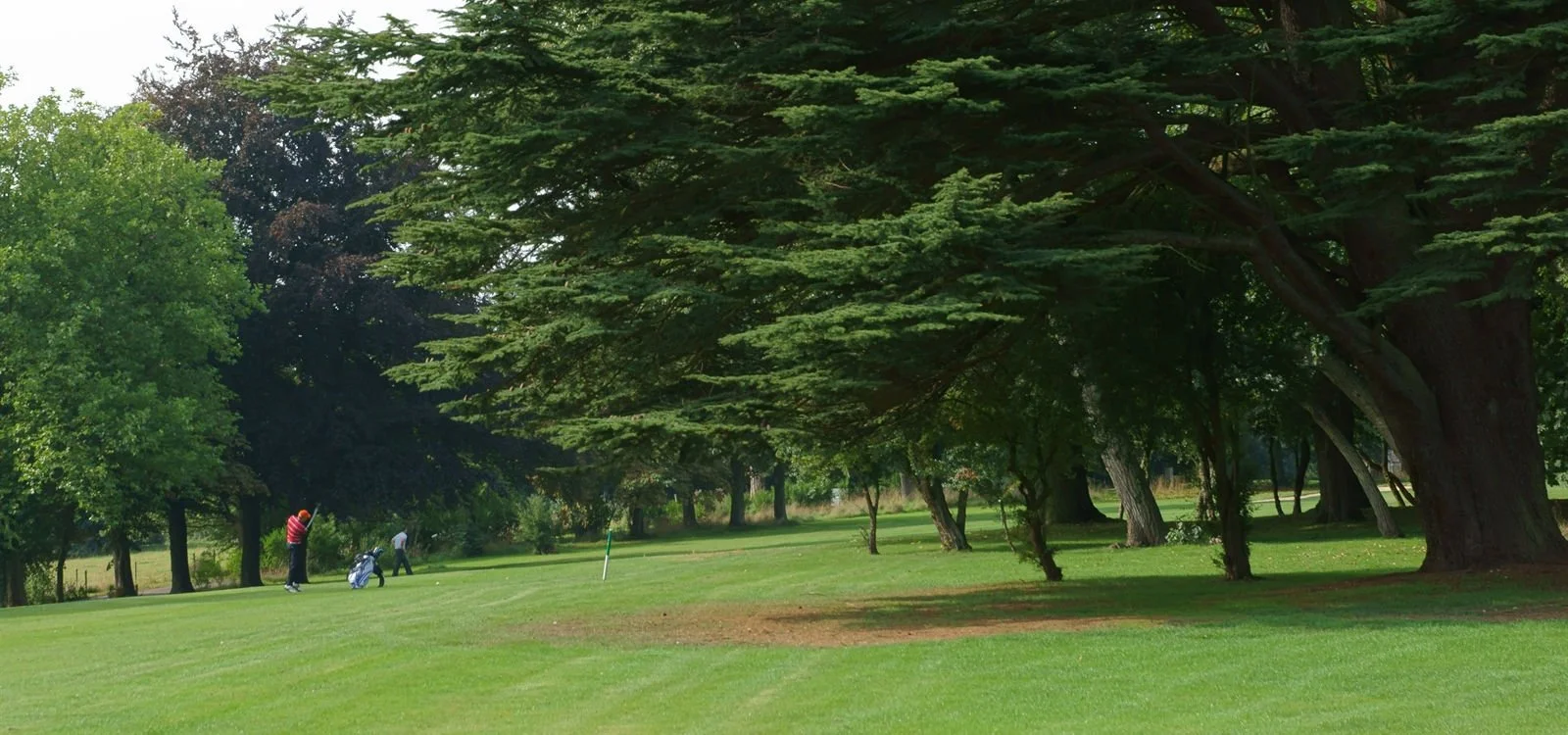 A golf course with a few people playing, surrounded by tall trees and green grass.