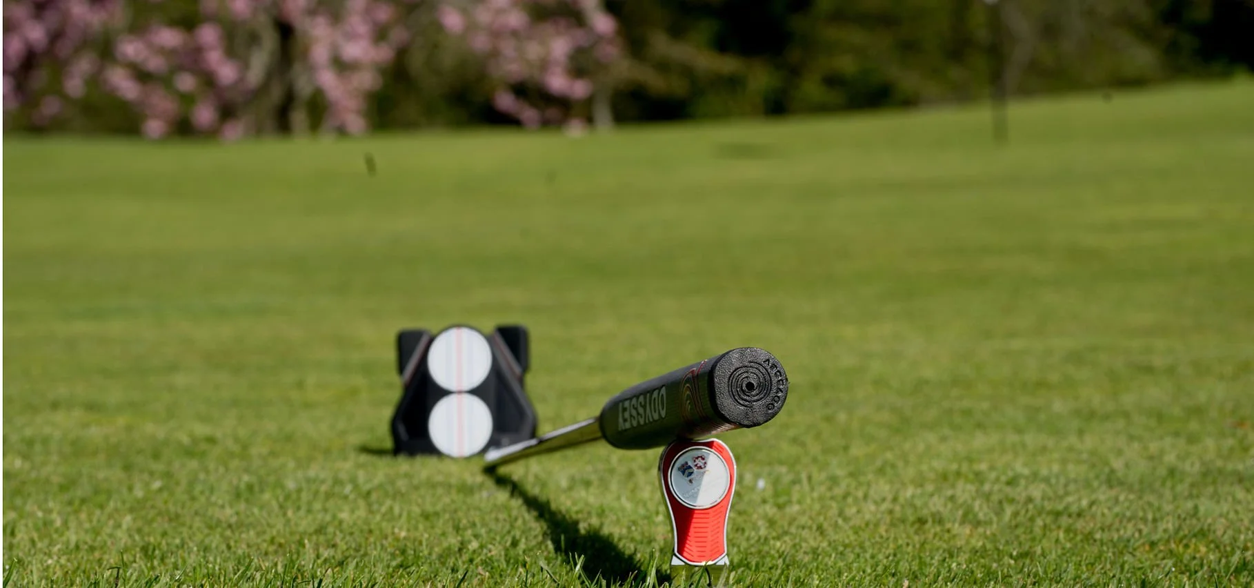 Golf practice on a grassy field with a teeing device and a driver club, with pink flowering trees in the background.