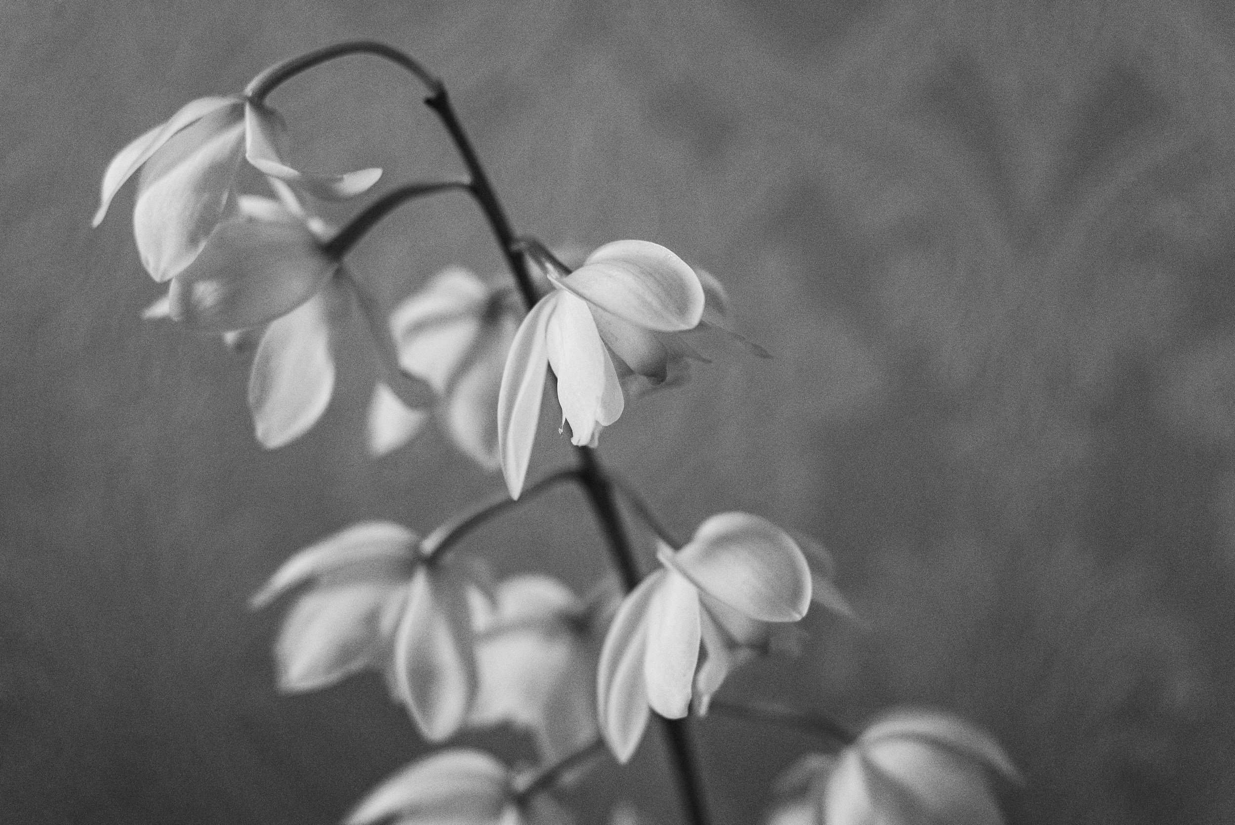 How to Heal Emotionally From a Miscarriage